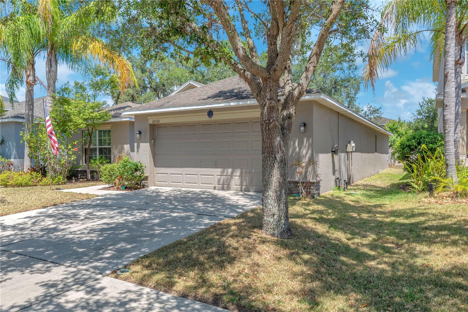 View from Driveway and Sideyard