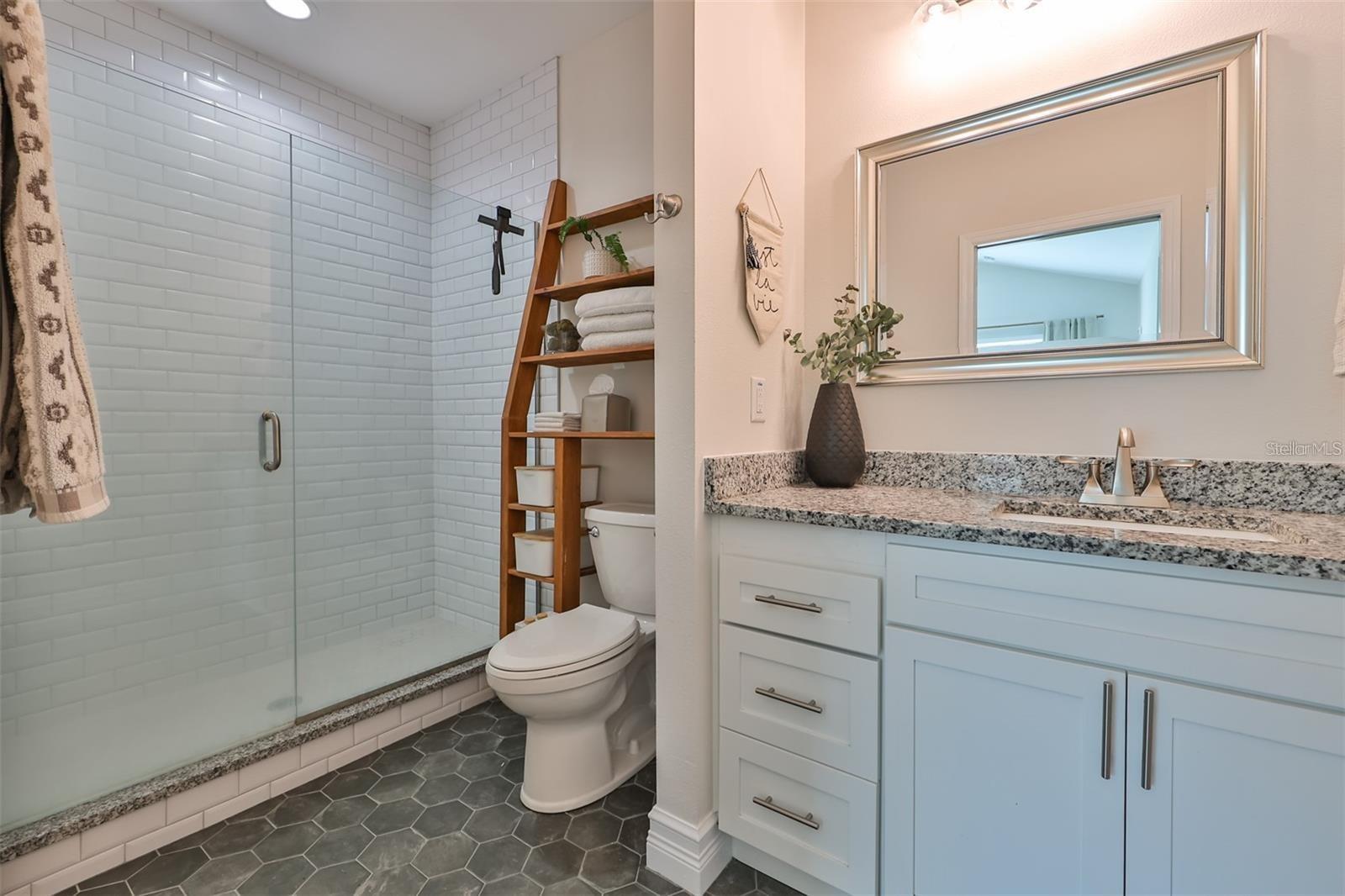 Master suite spa bathroom.