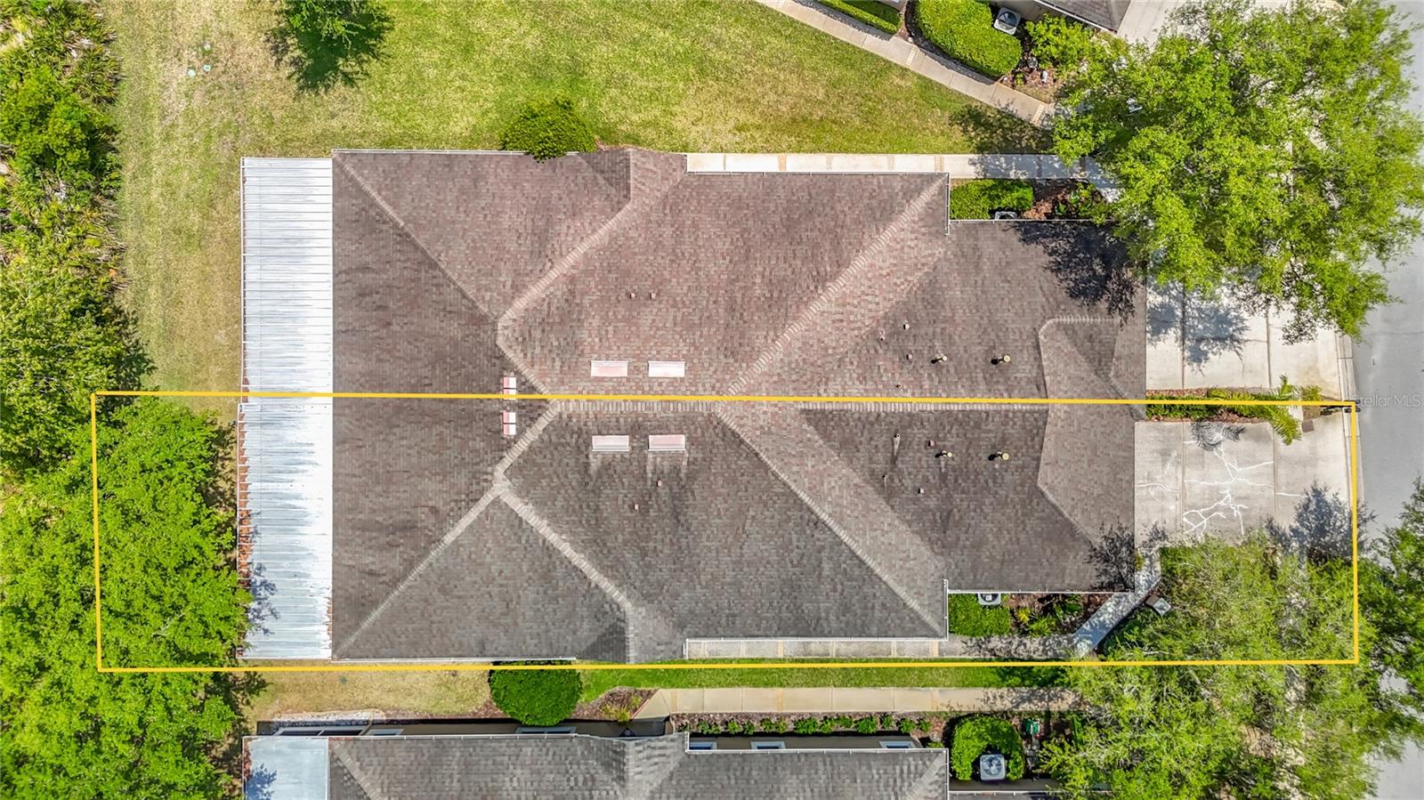 Bird's Eye