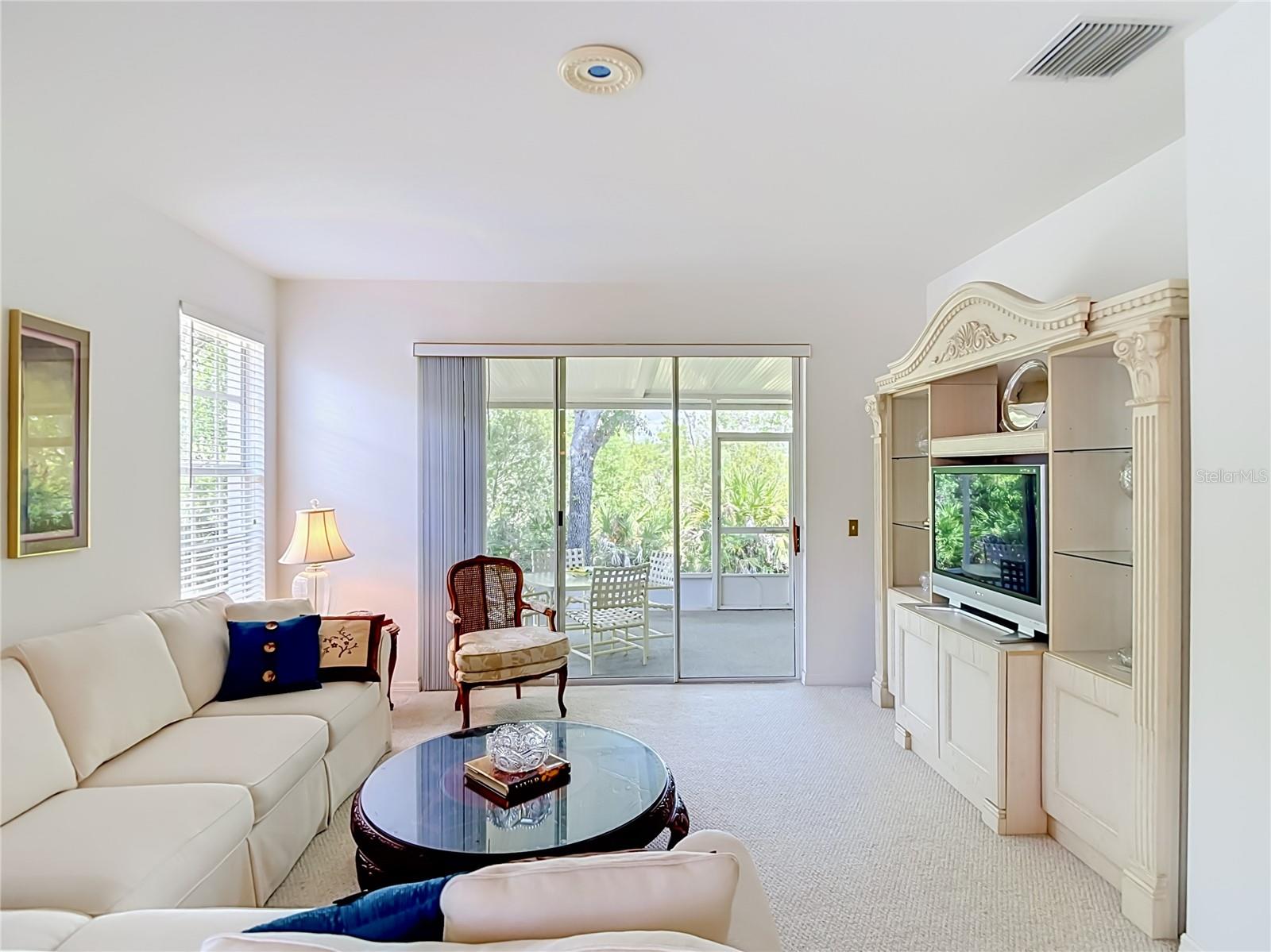 Living Room - Outdoor Living Space - Conservation view
