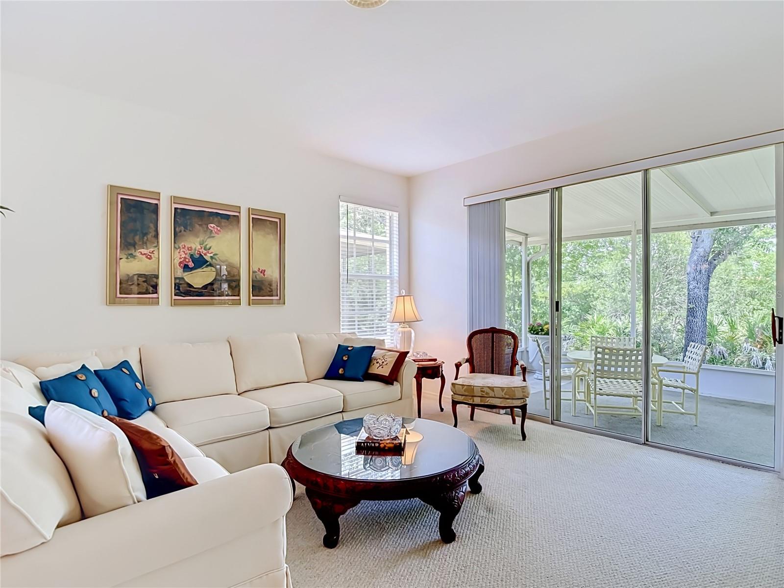 Living Room - Outdoor Living Space - Conservation view