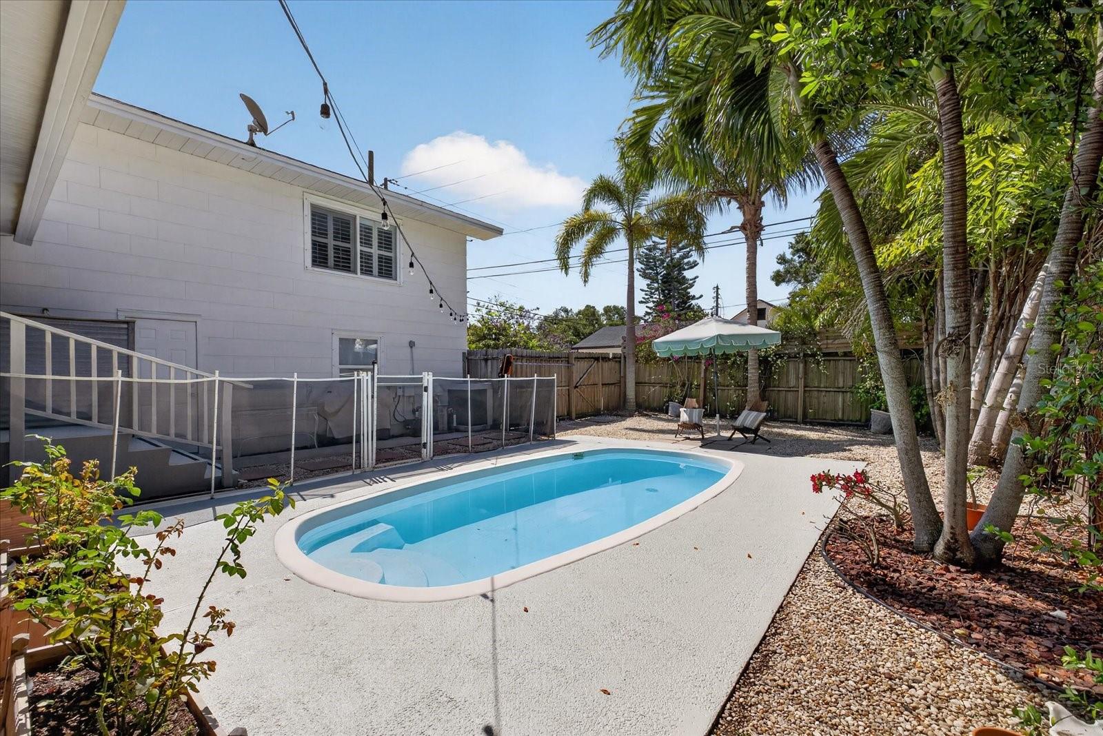Pool backyard 1