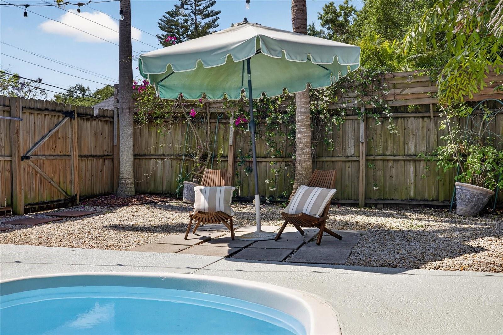 Pool backyard 1