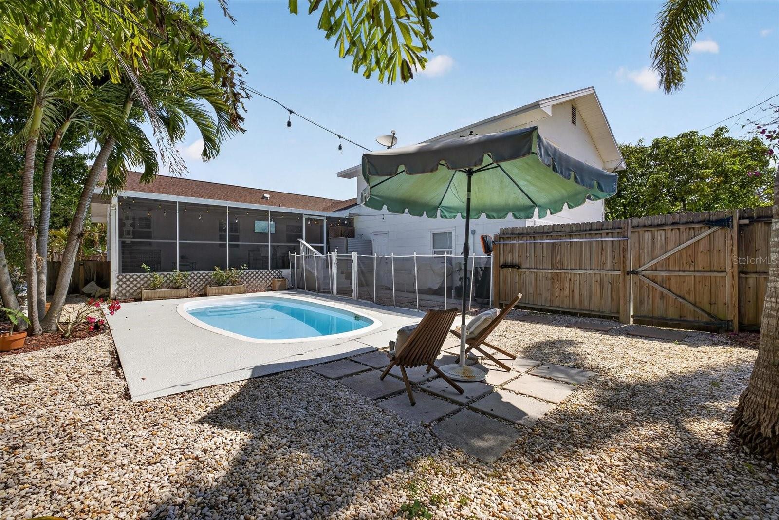 Pool backyard 1
