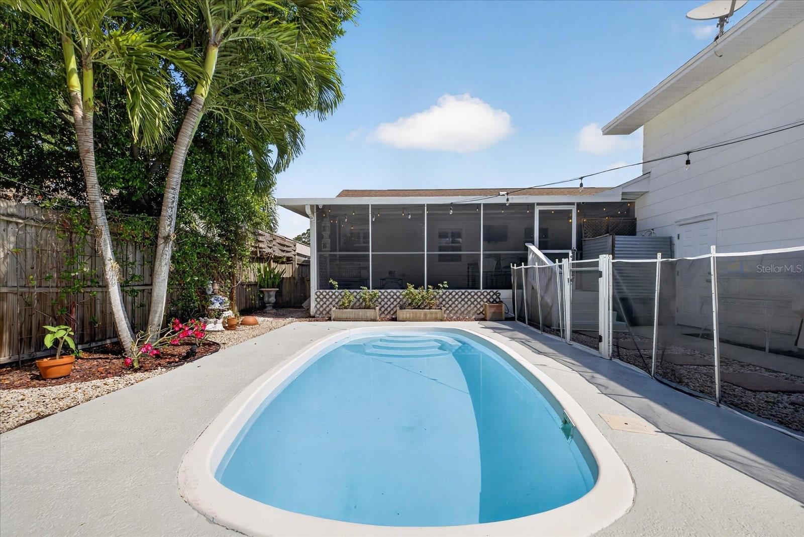 Pool backyard 1