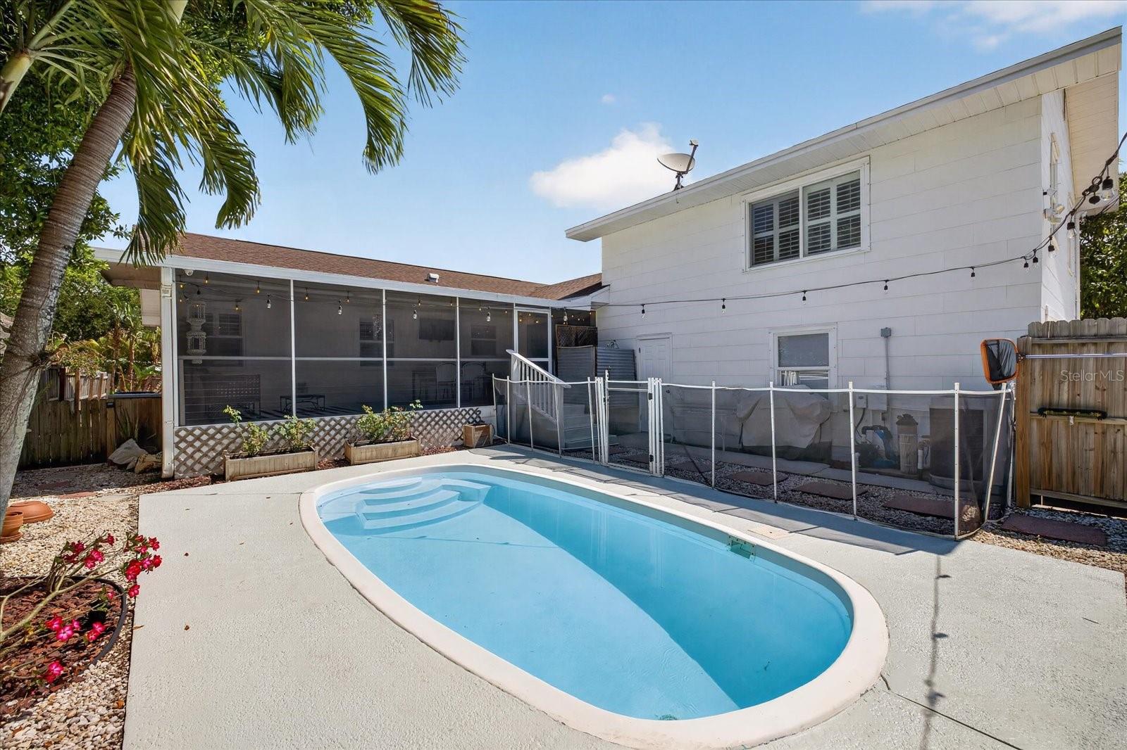 Pool backyard 1