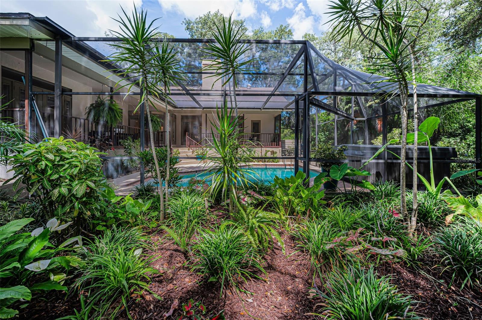 Backyard/Pool