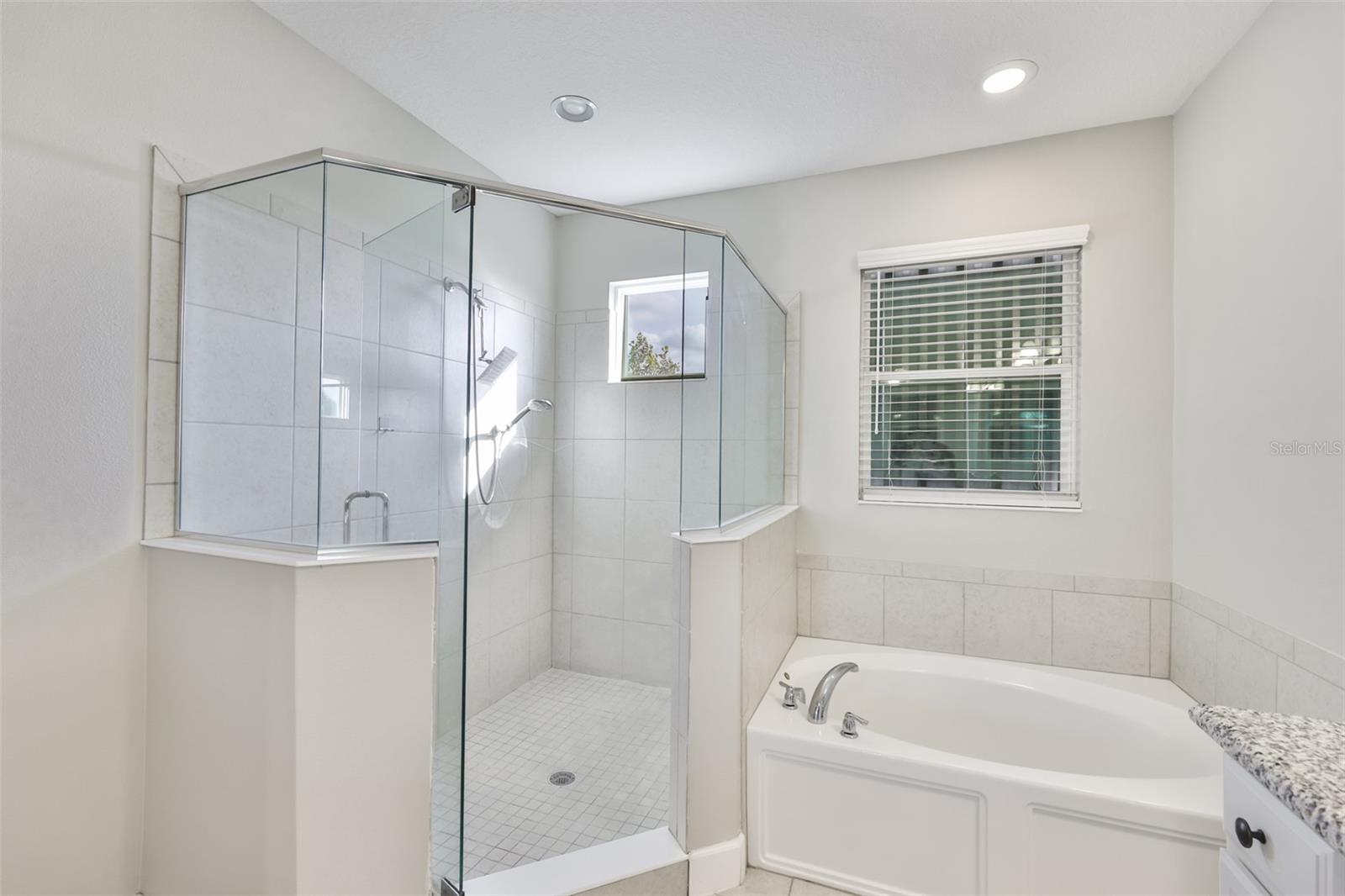 Primary Master Bathroom