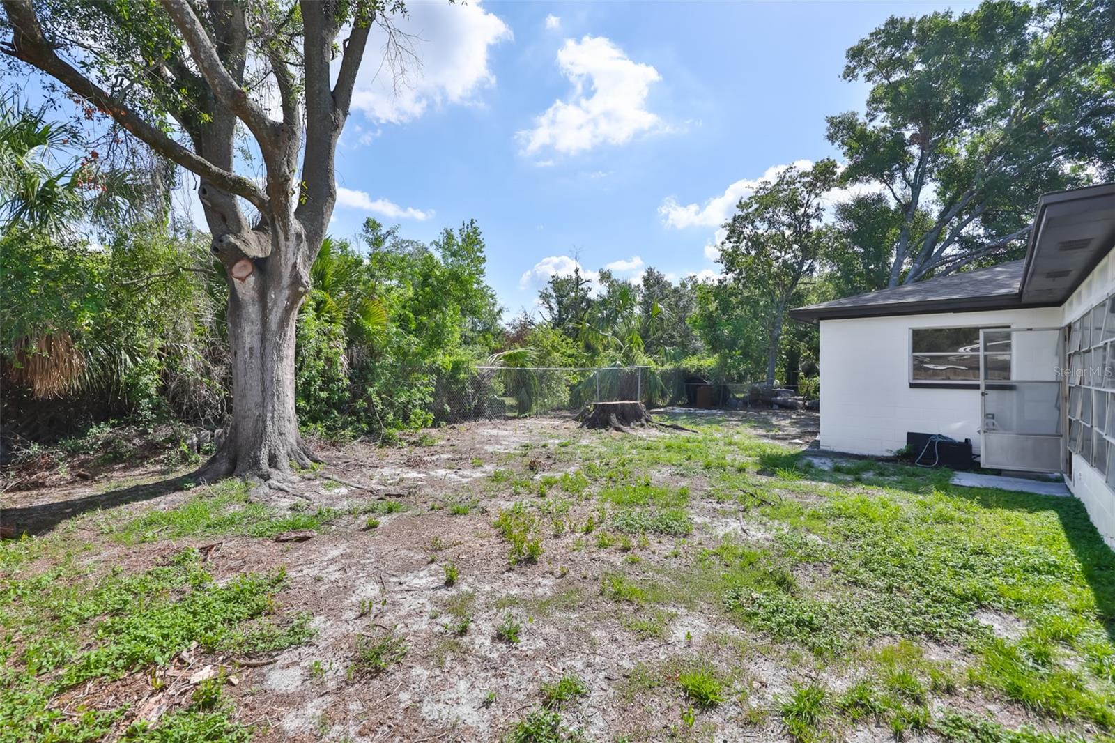 Back yard