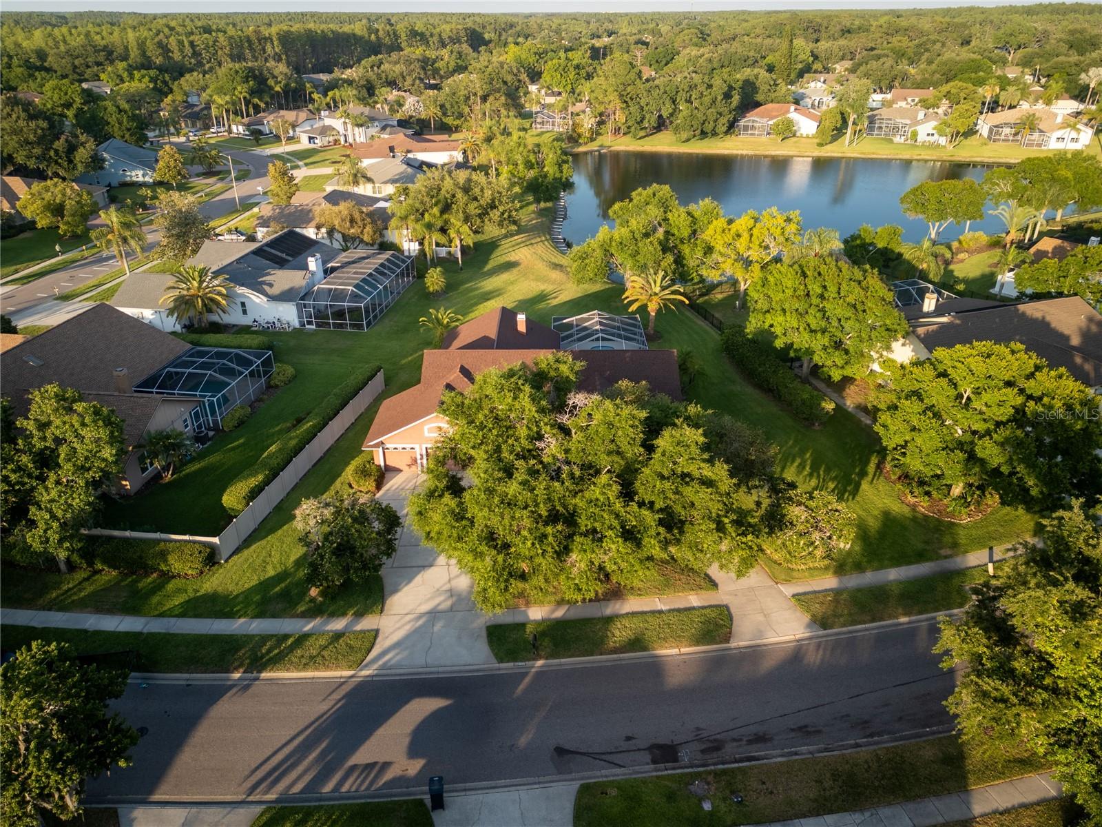 Aerial