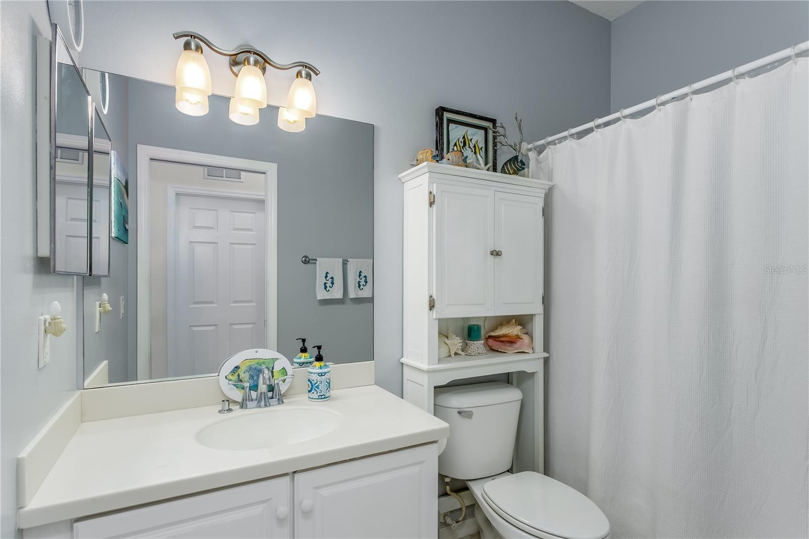 Guest bath