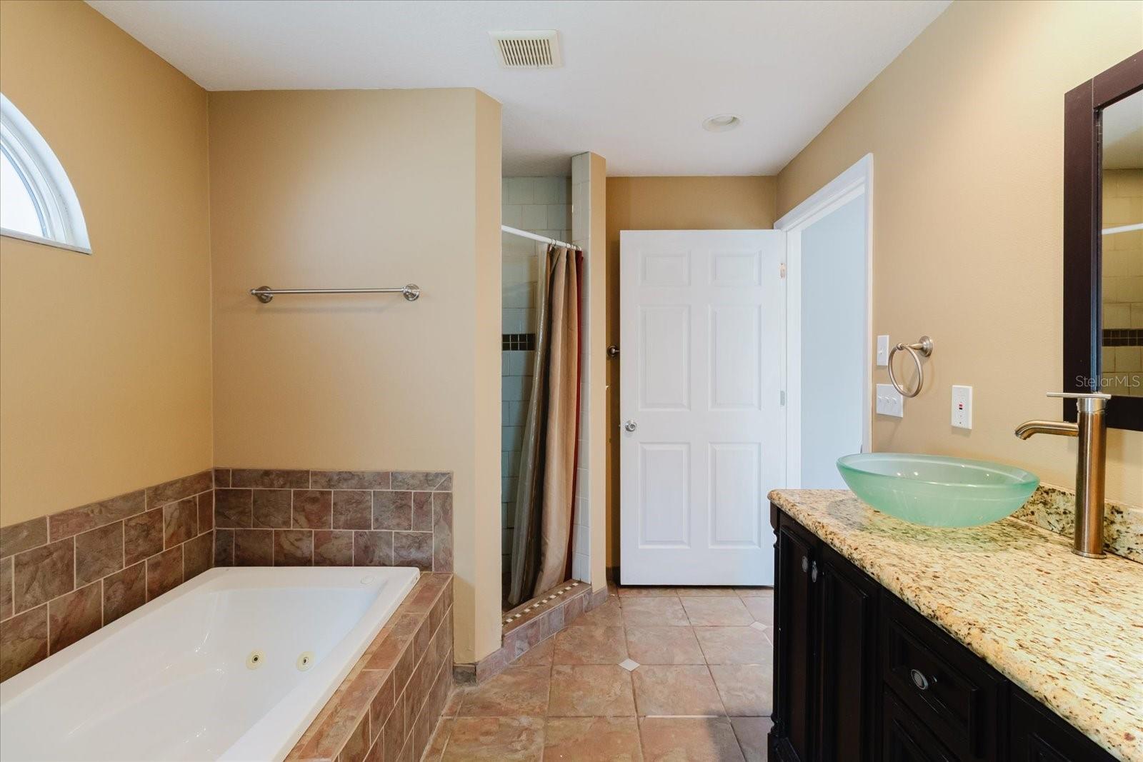 Master bathroom with jacuzzi, double glass sink