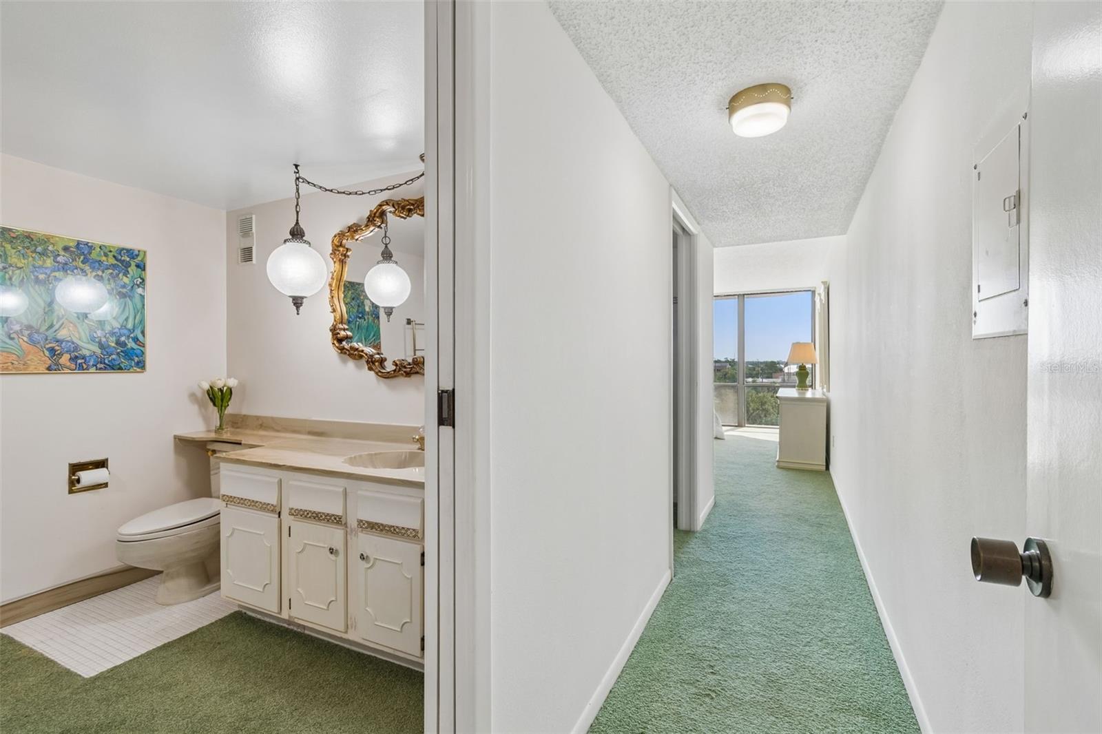 Primary hallway and entrance to primary bath