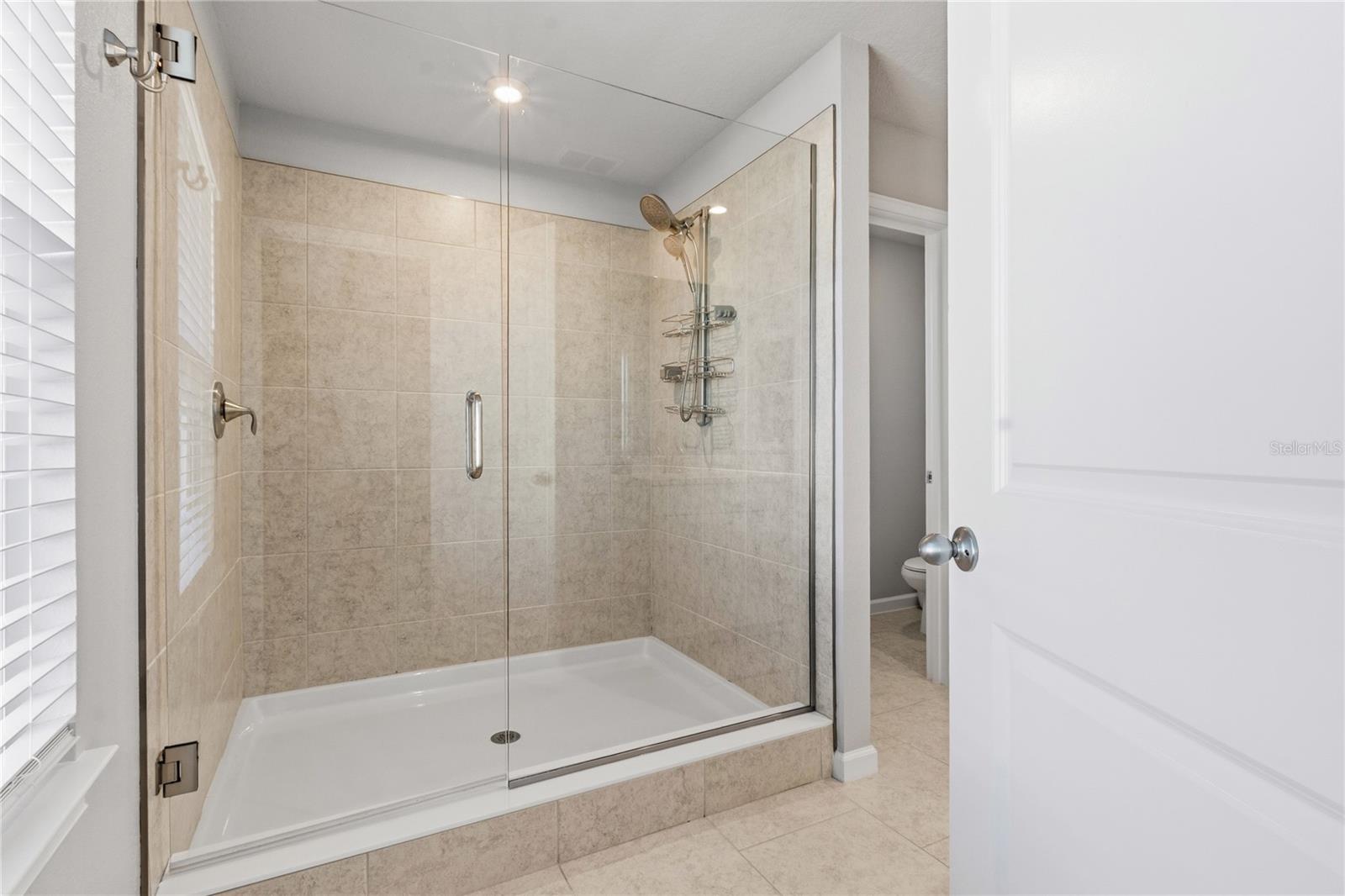 Master Bathroom stand up glass shower