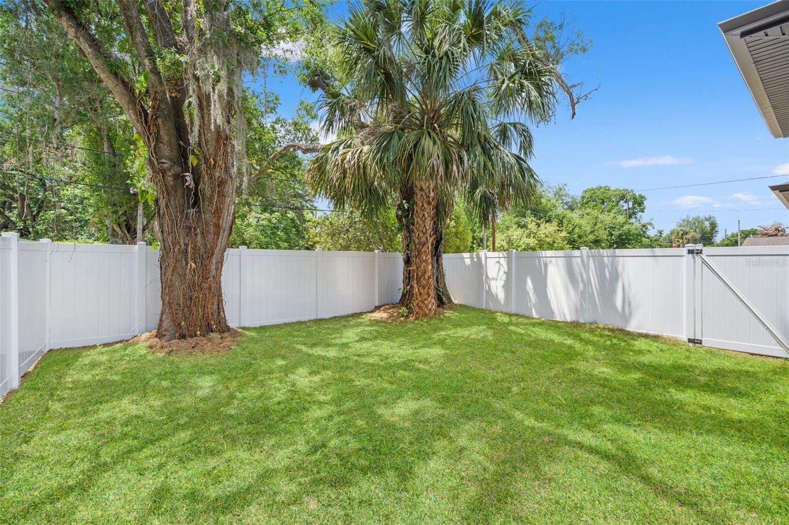 right side yard