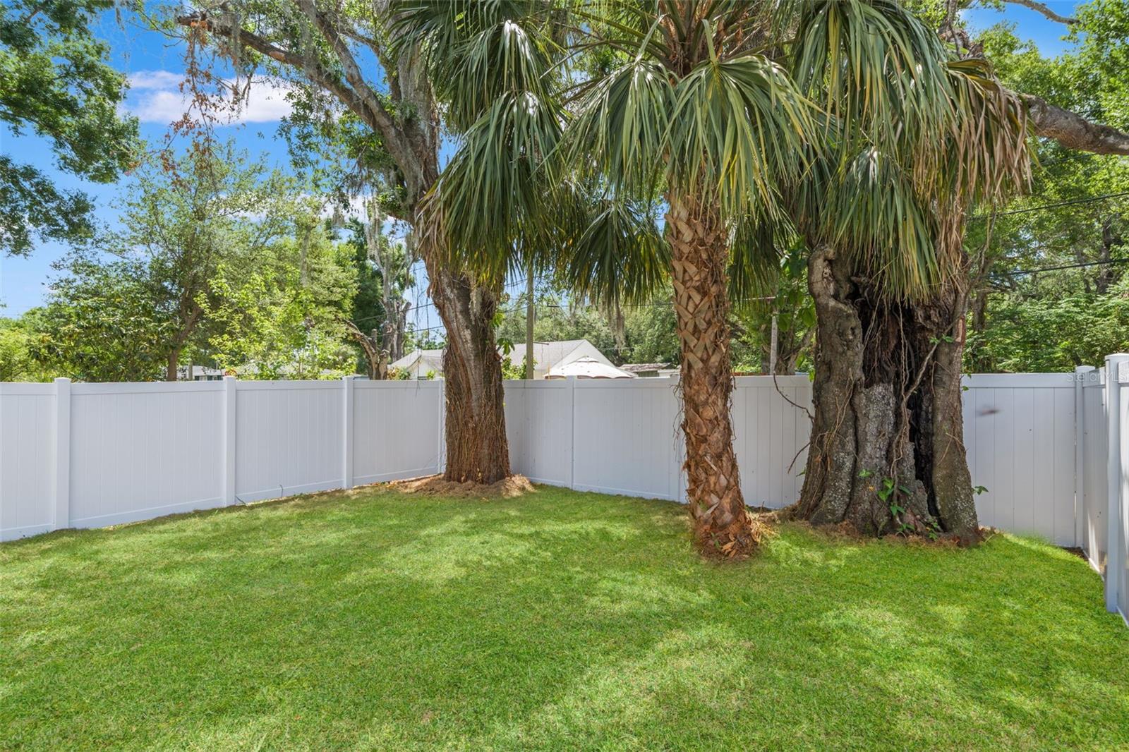 right side yard