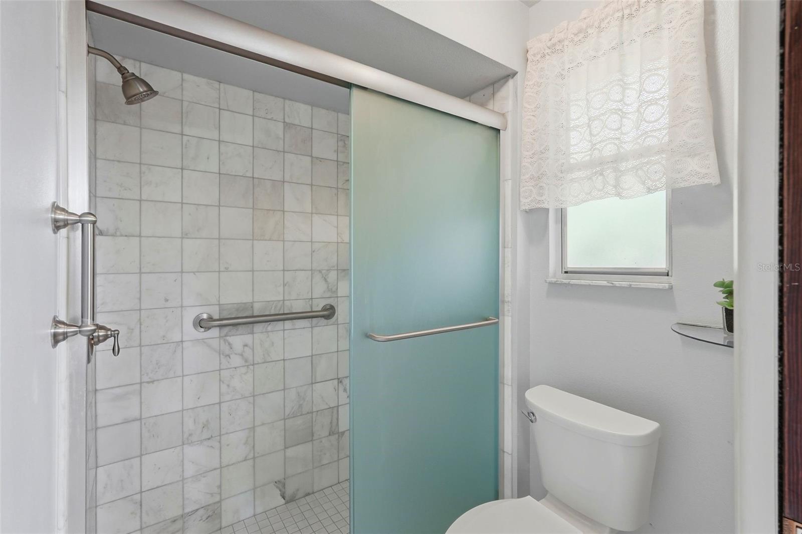 Updated Primary Bath Shower