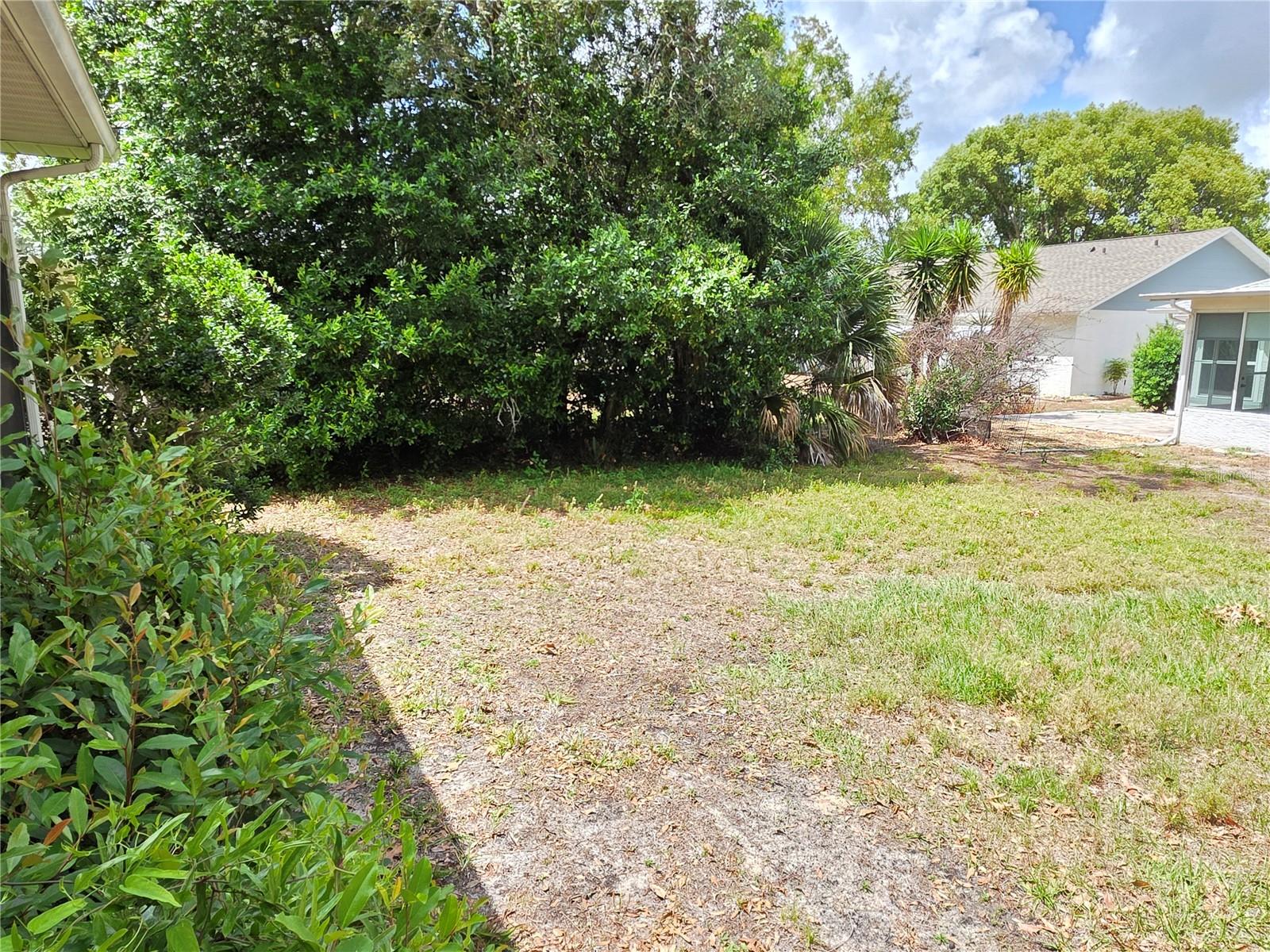 BACK YARD