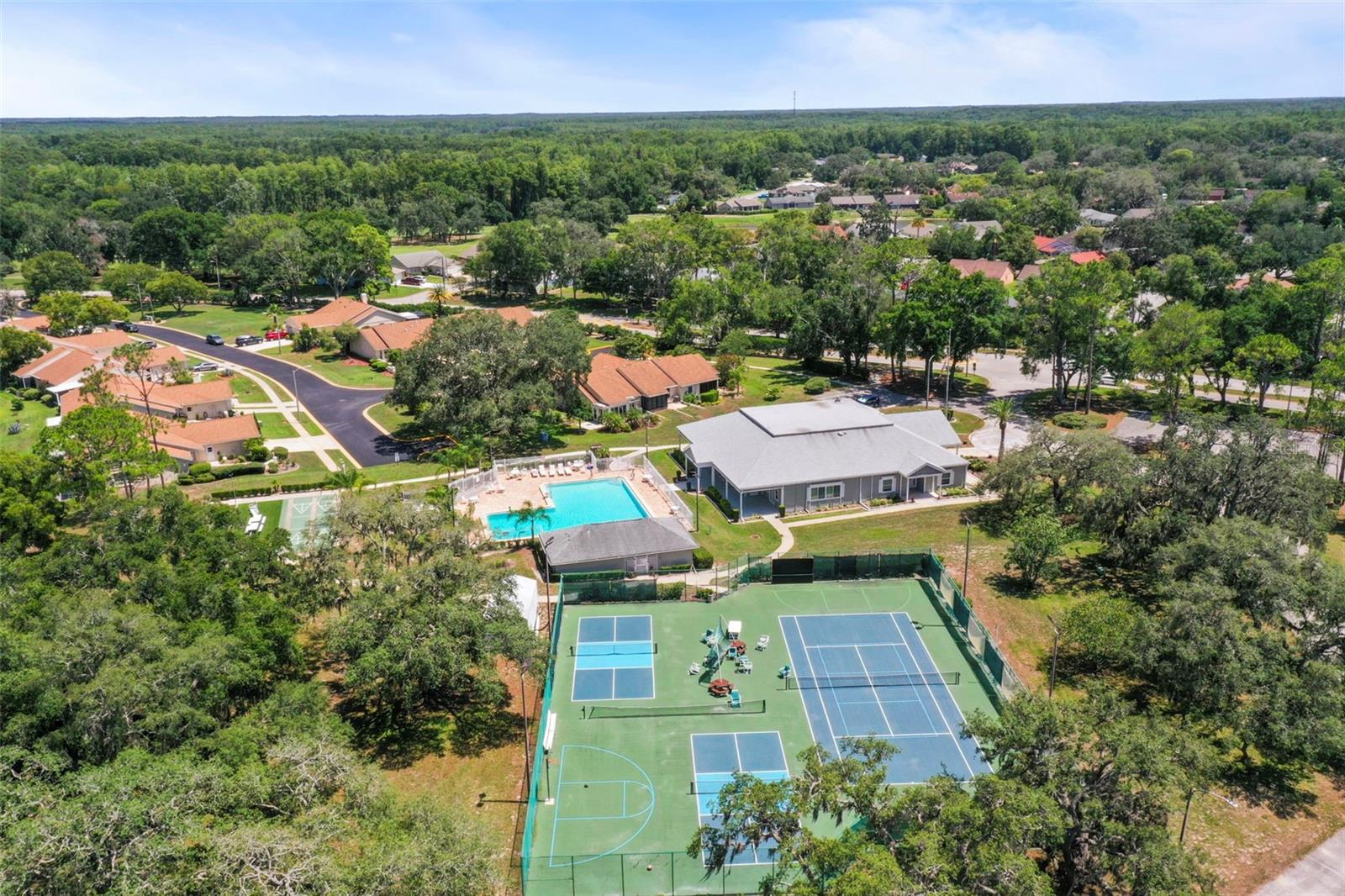 Clubhouse-drone view