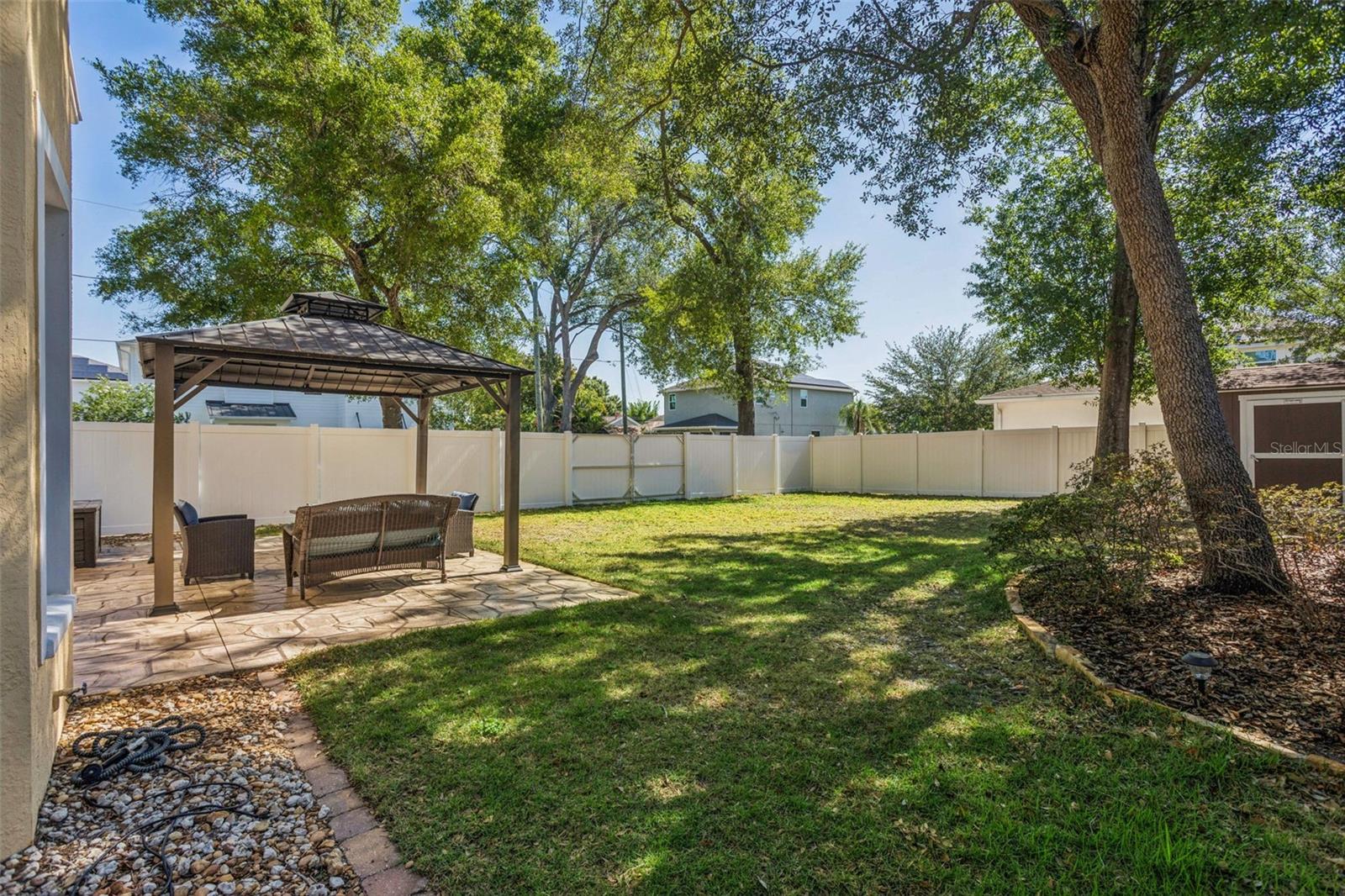 back yard