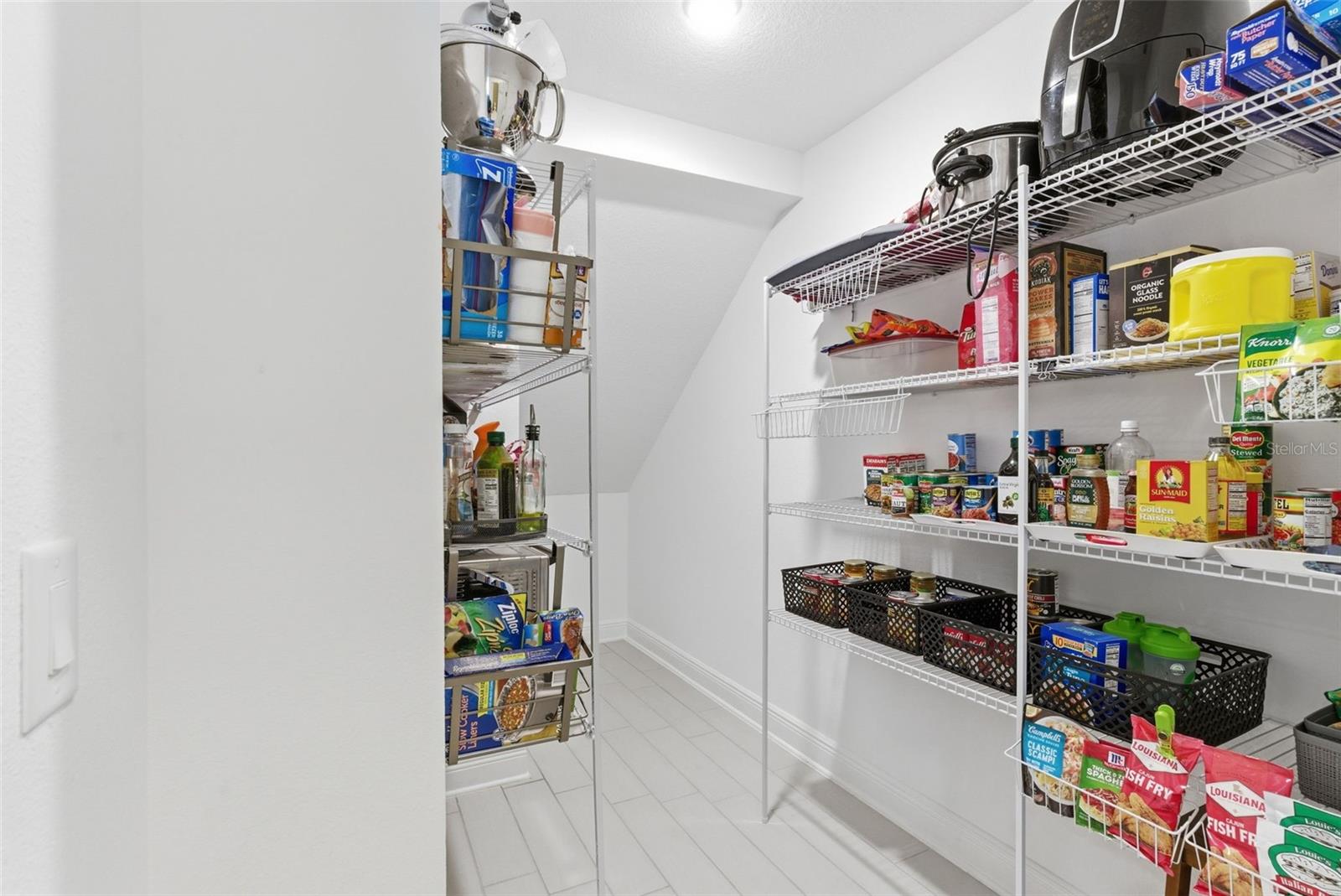 Big oversize pantry, under the stairs