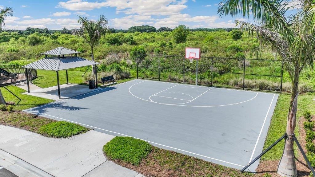 Basketball court