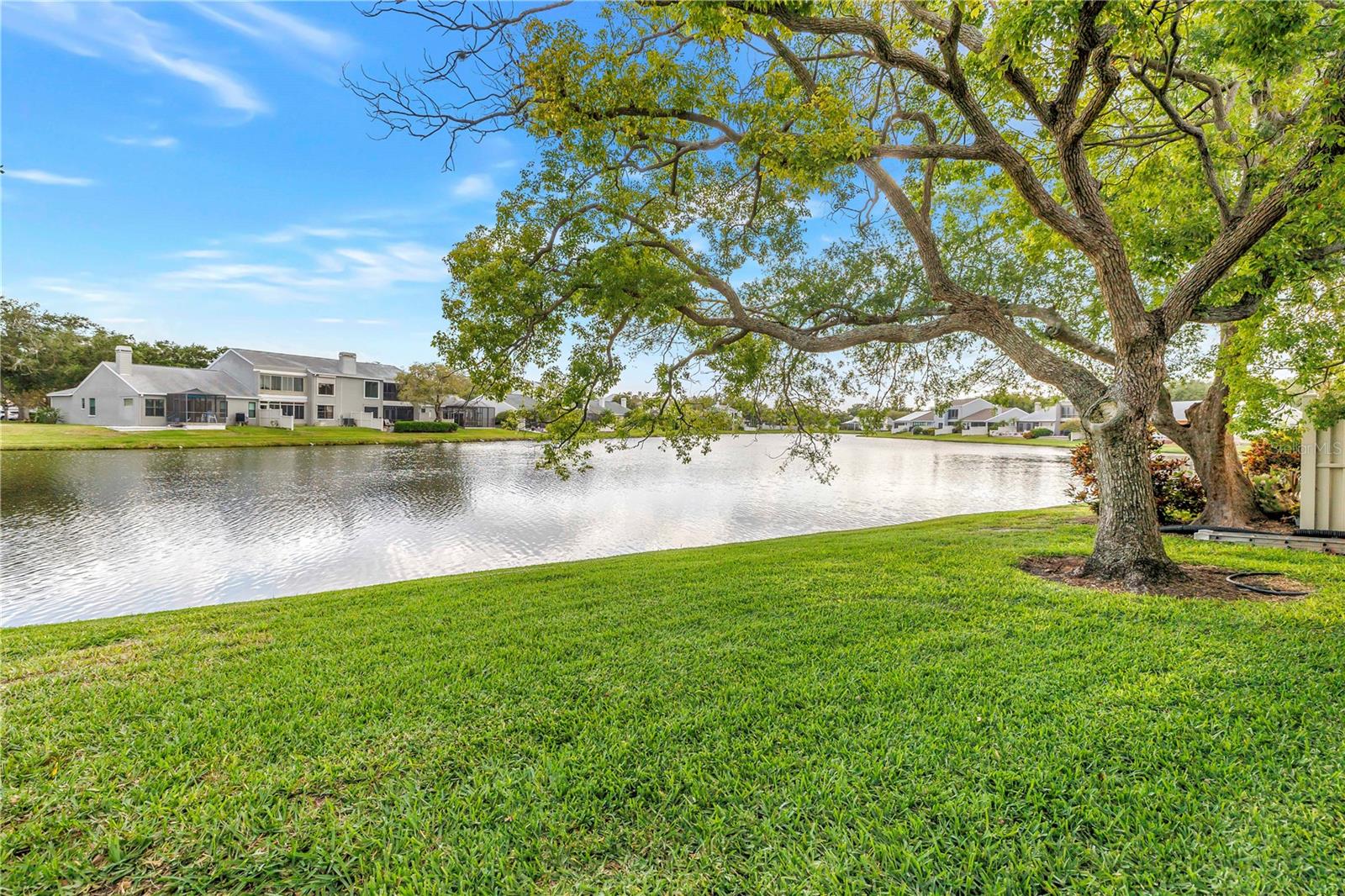 Idyllic view of the lake with old growth oaks and grass maintained by the HOA