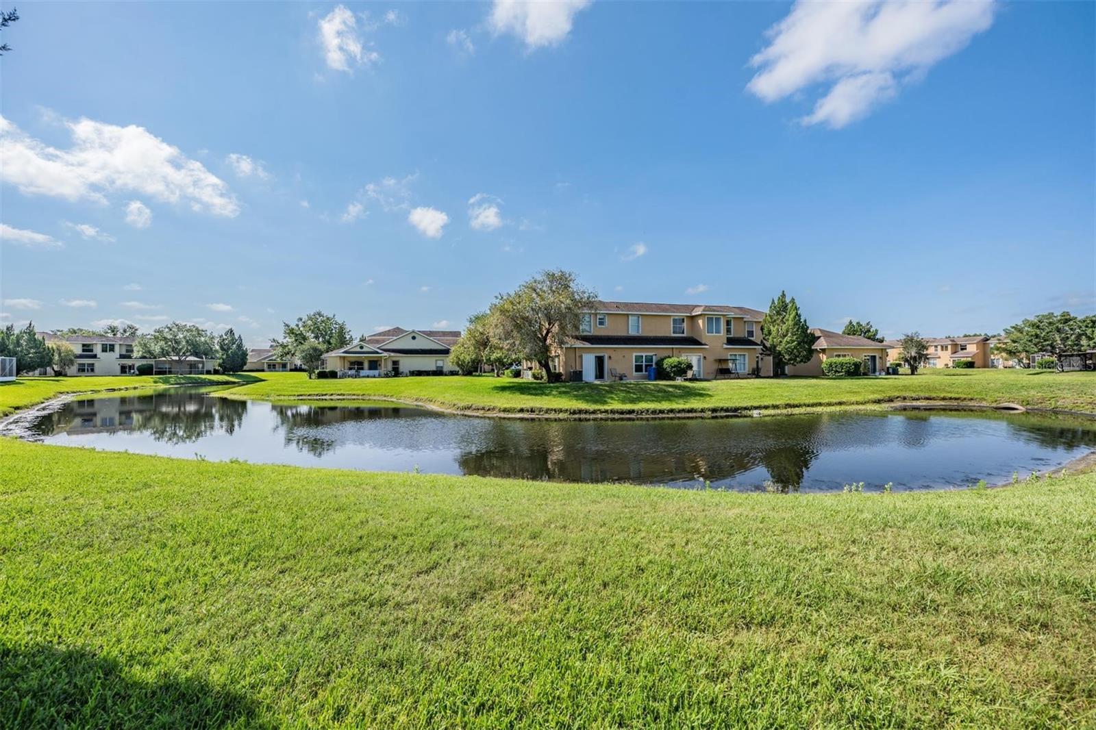 Pond View