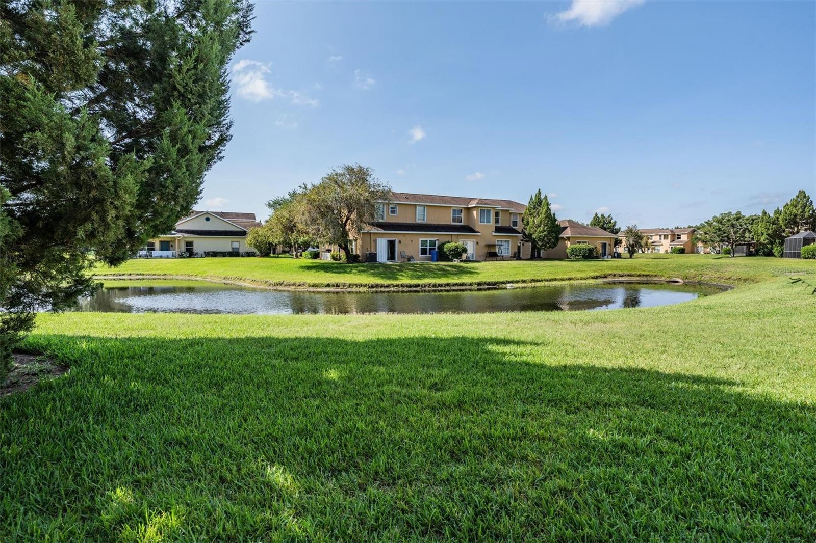 Pond Views