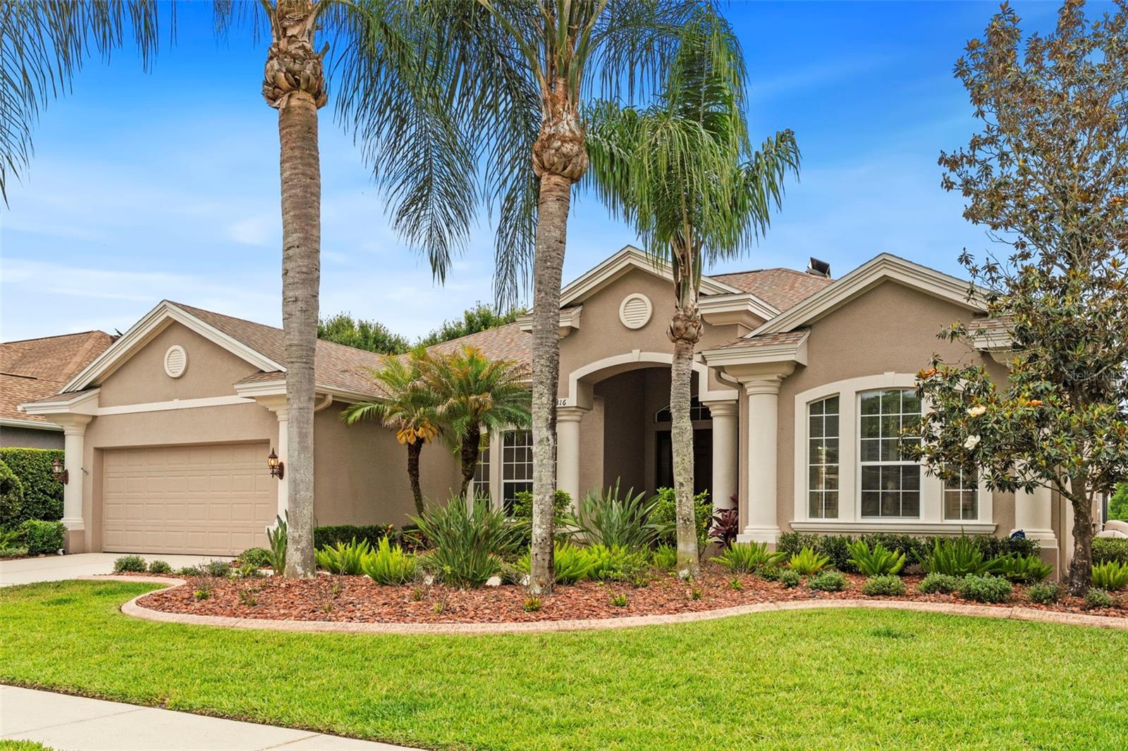 Welcome home!