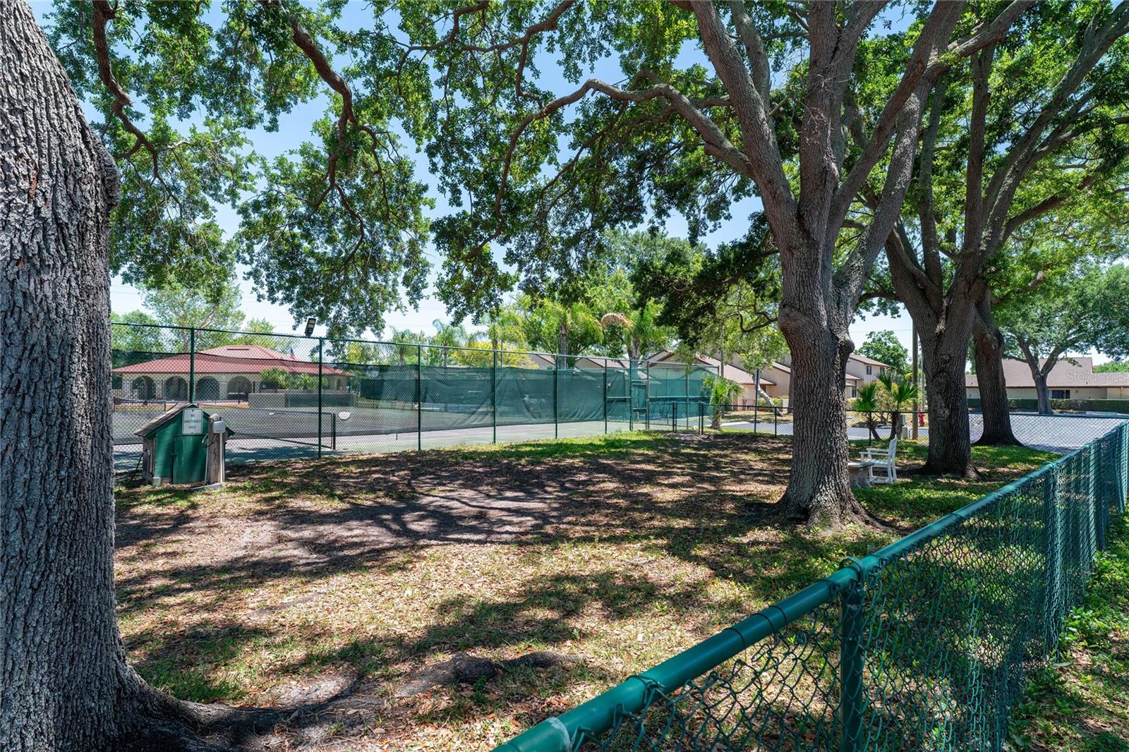 Dog Park