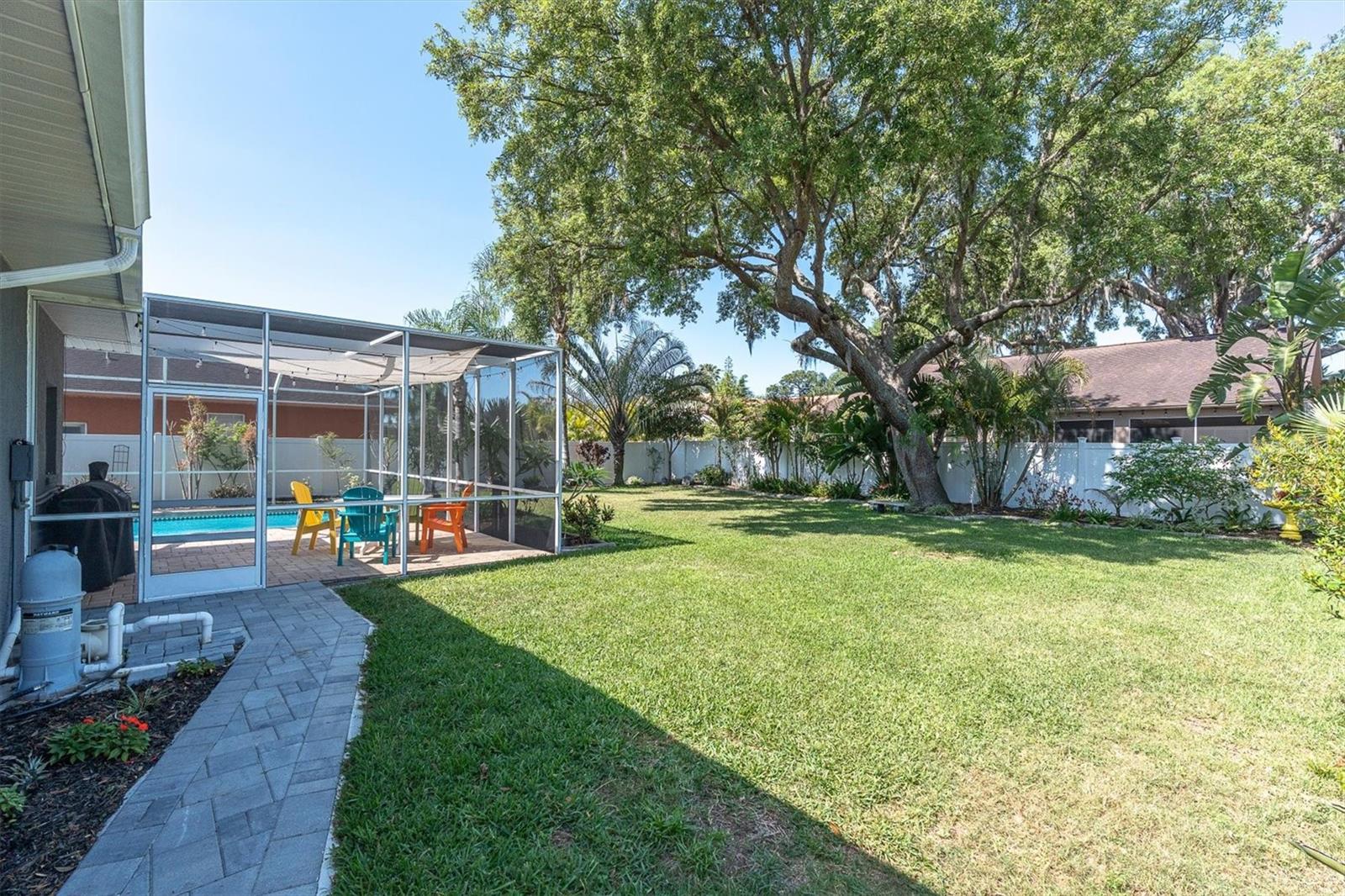 Backyard w/ Mature Oak and Tropical Landscaping