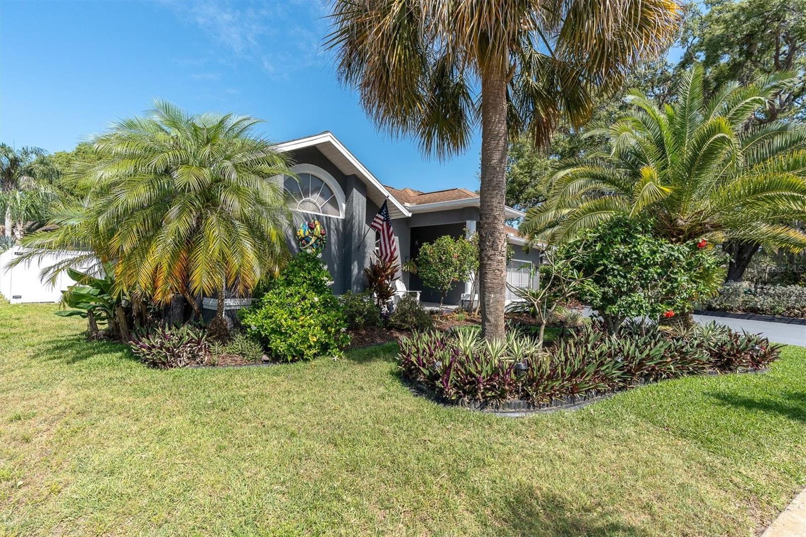 Front Yard w/ Tropical Landscaping