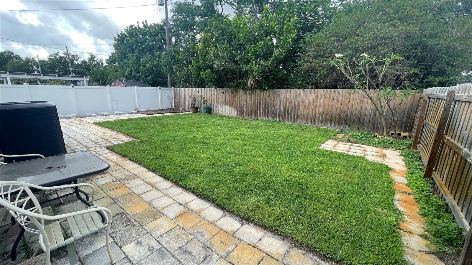 Backyard, New Sod