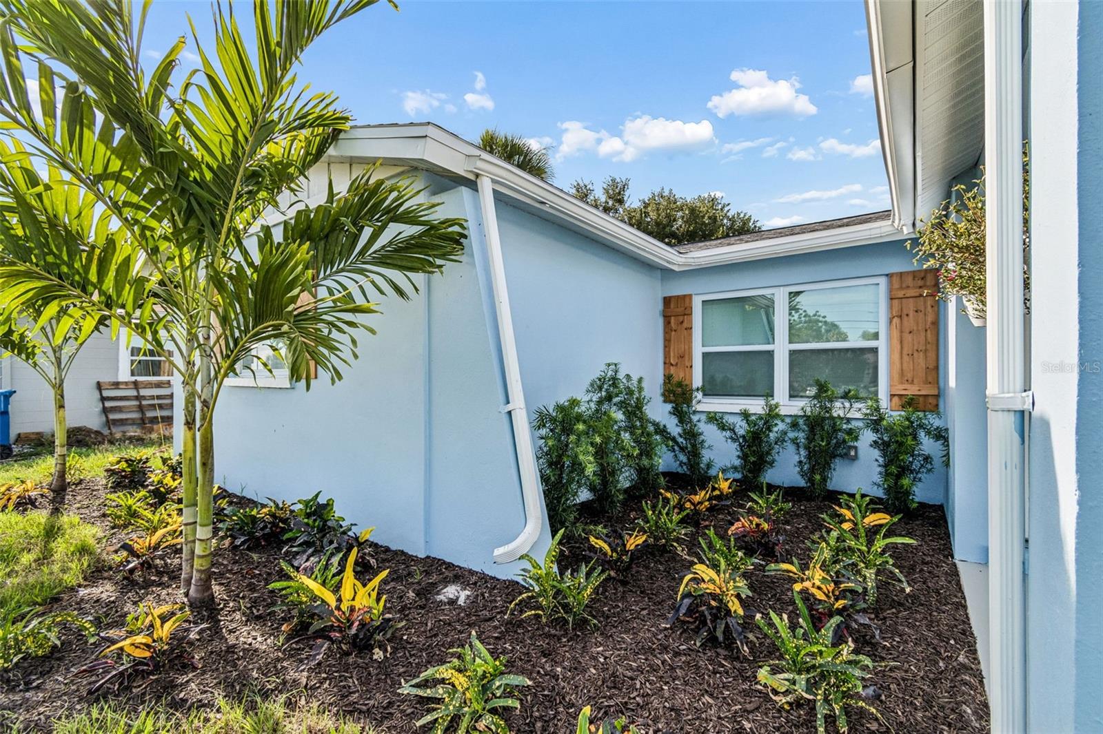 New tropical landscaping!