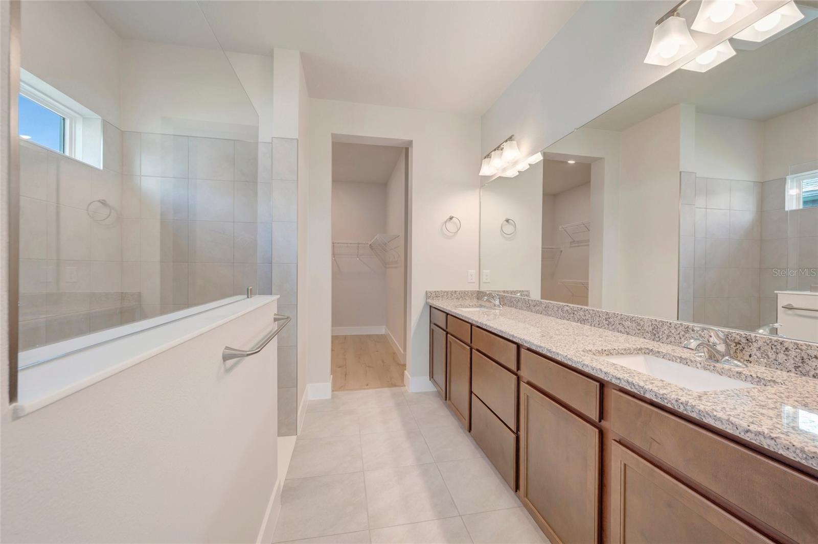 Owner's Bath