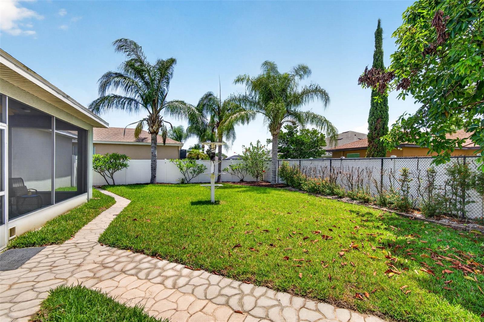 Back yard-Palm trees and more