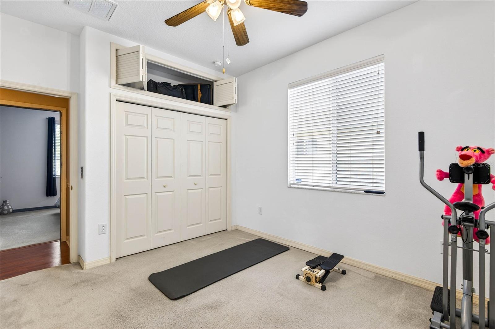 Above closet storage in BR 2