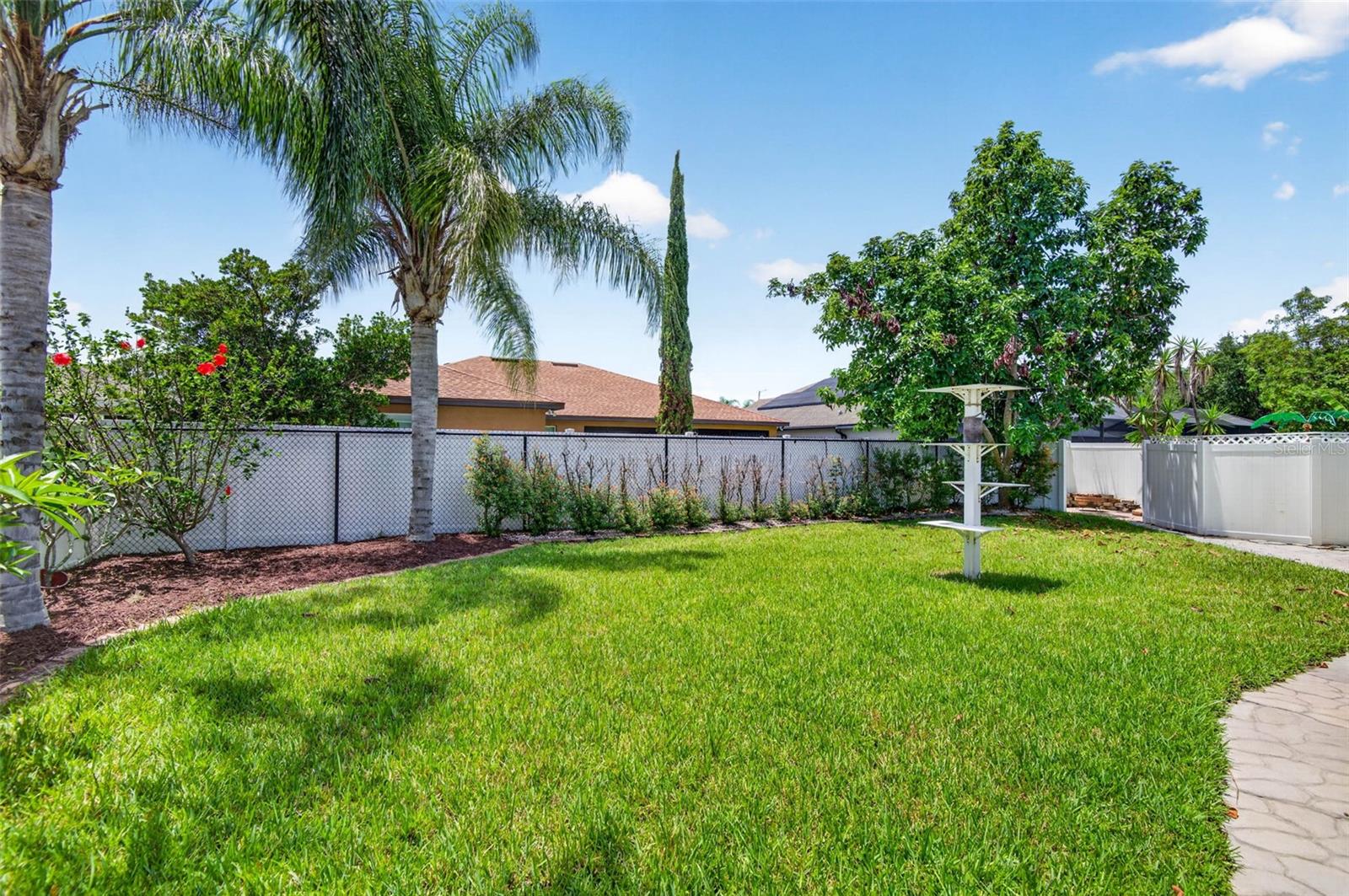 back yard