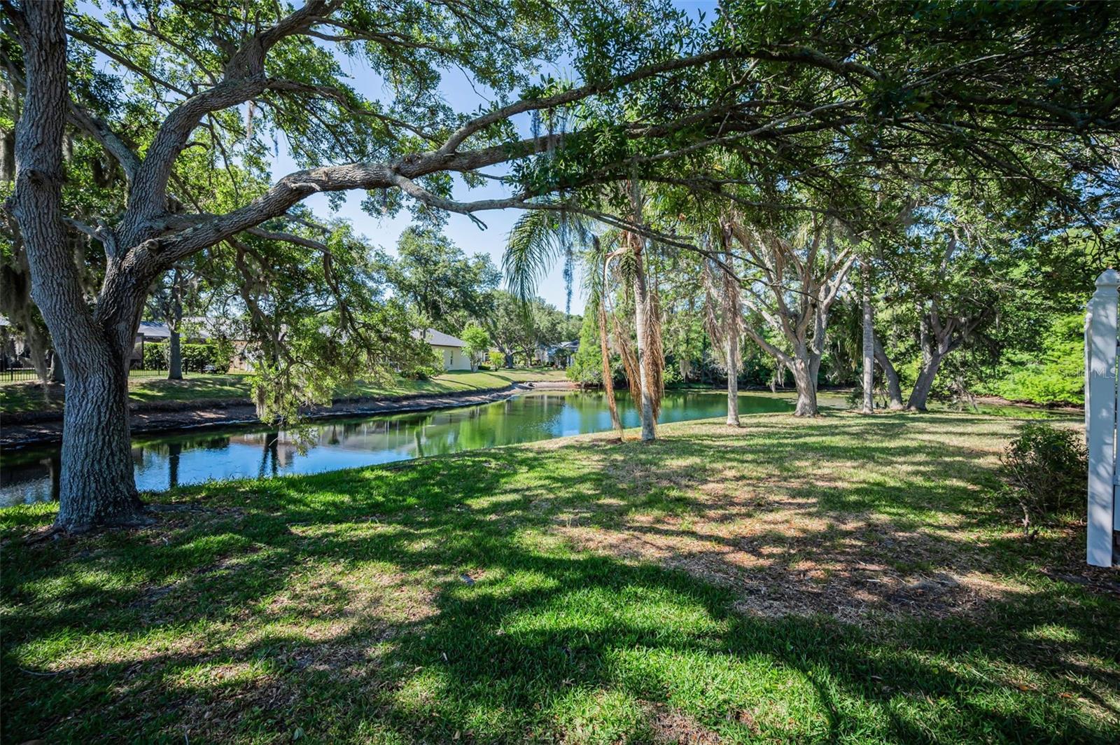 Back Yard & Pond