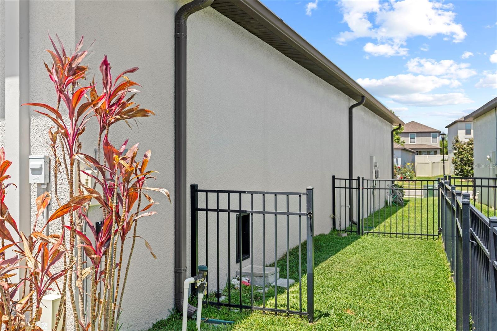 THE SIDEYARD