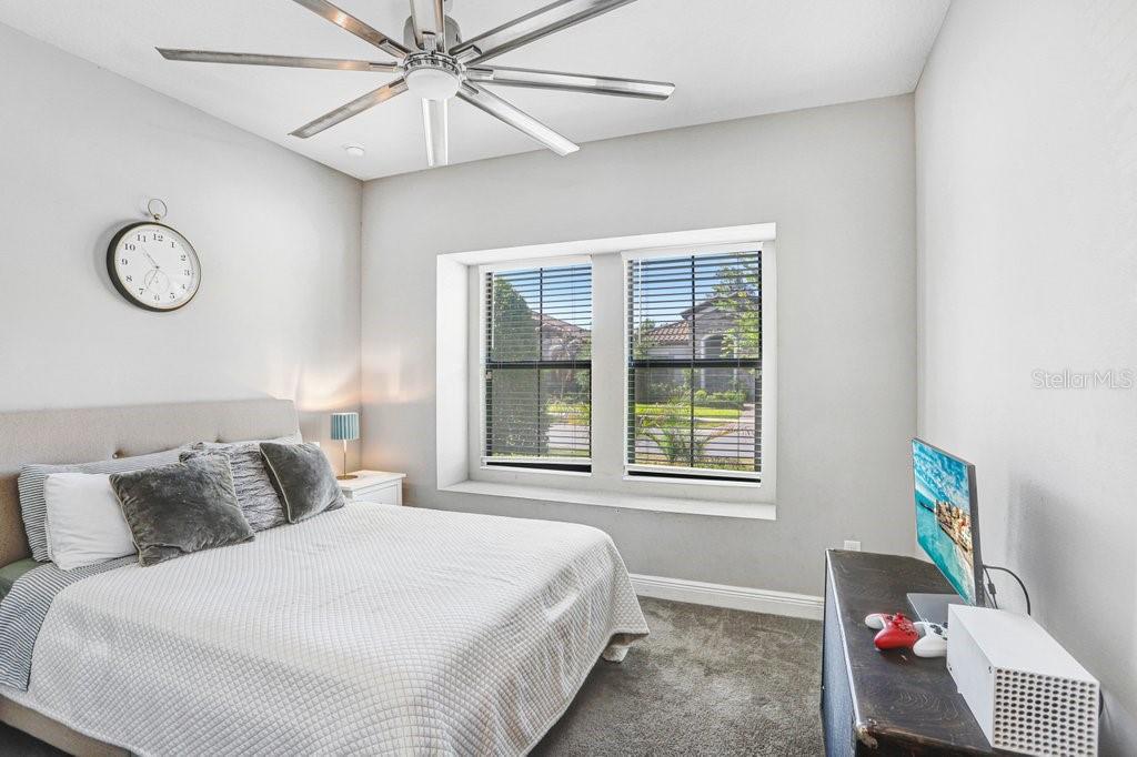 Downstairs Bedroom