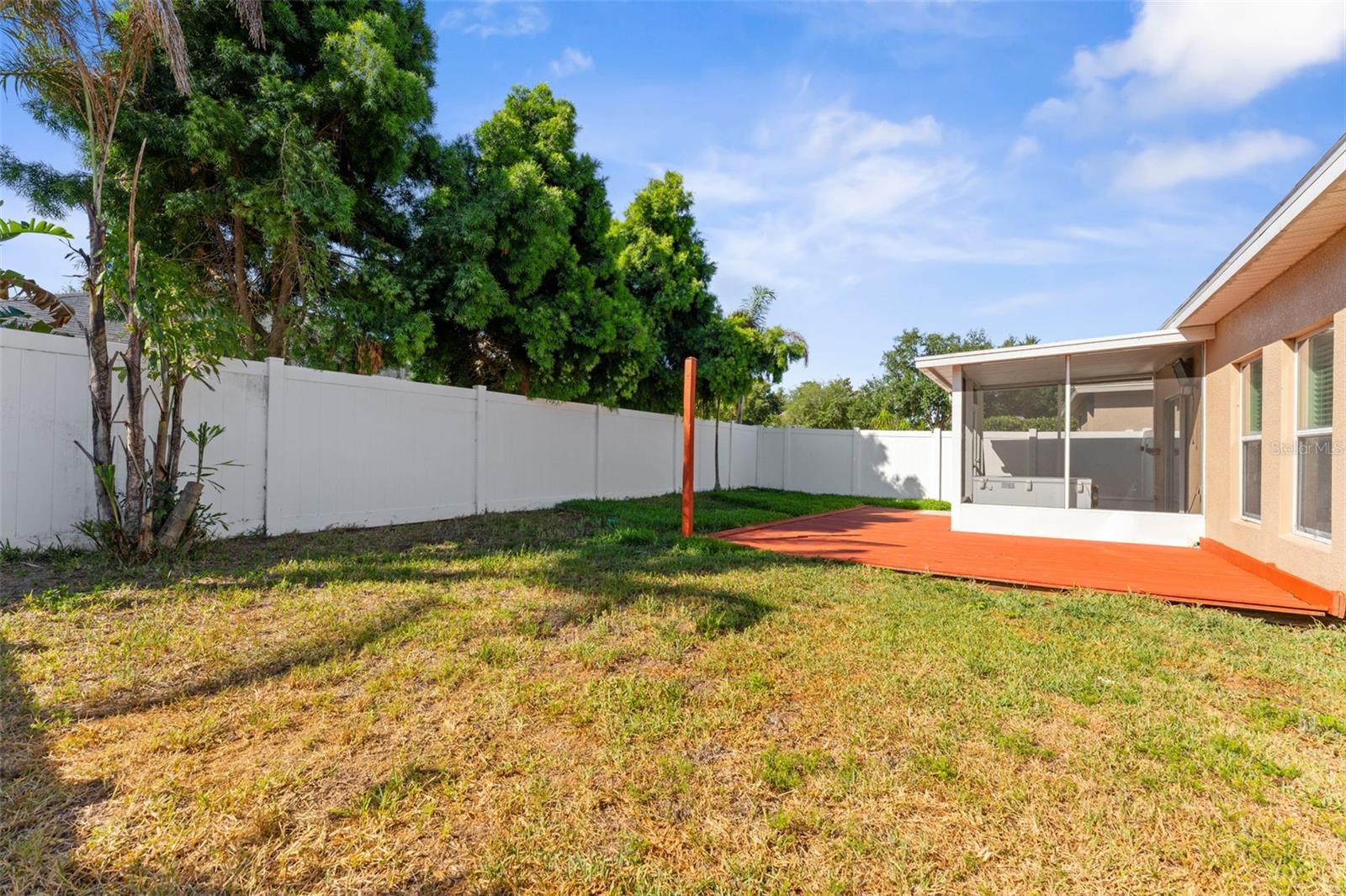 Backyard