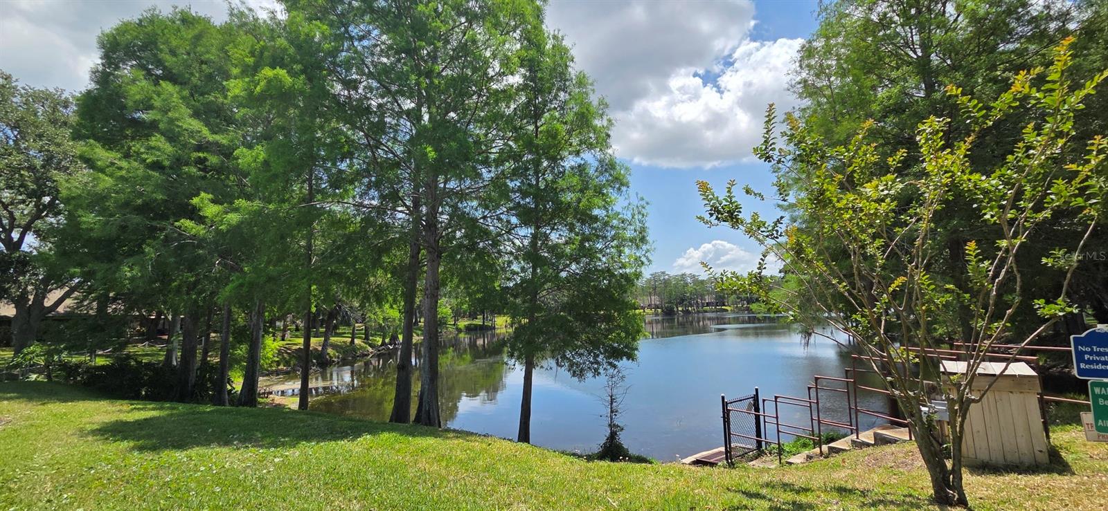 Lake off Pool