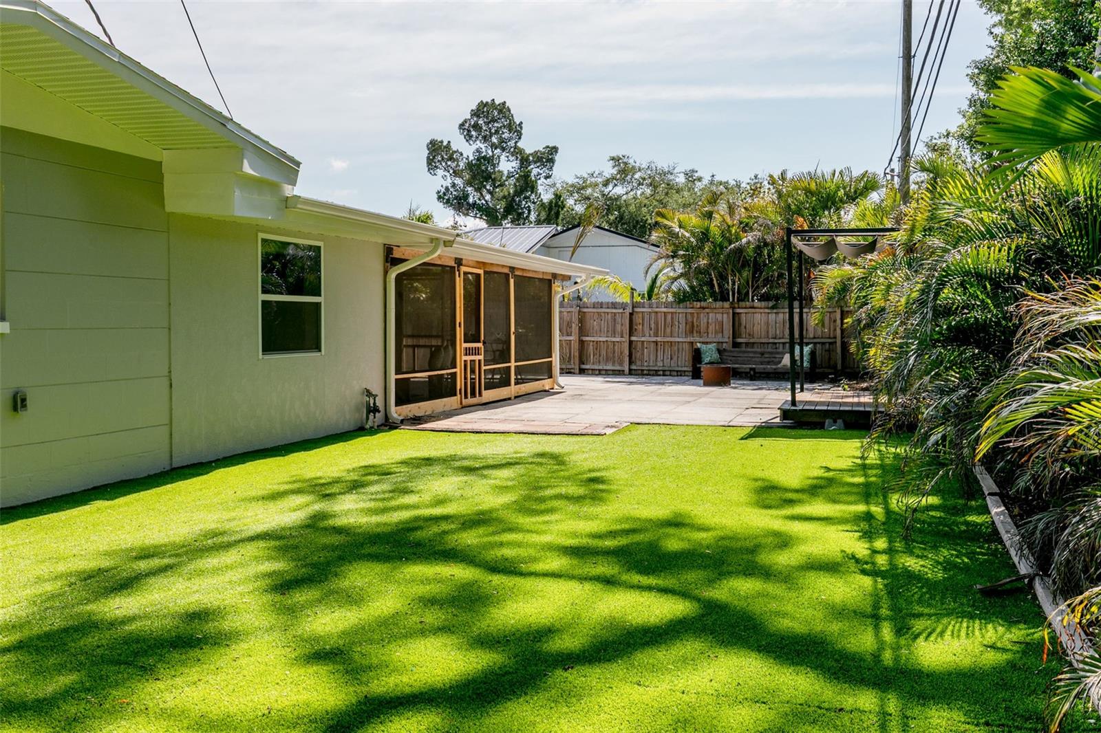 Back Yard