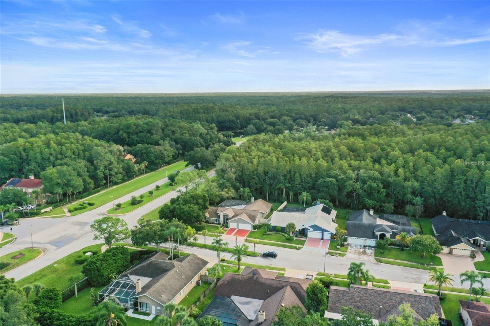 Community aerial view