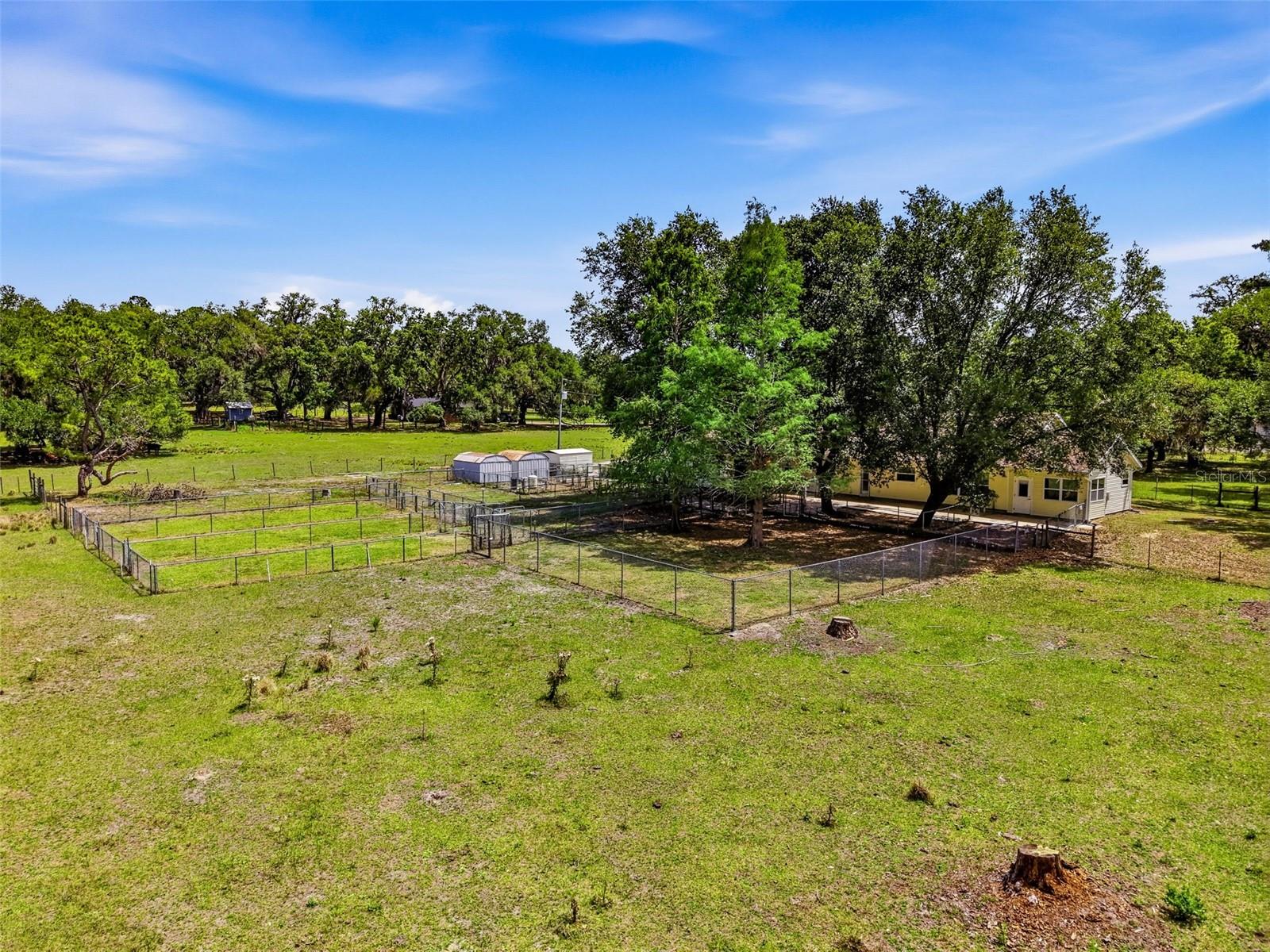 Front Pasture