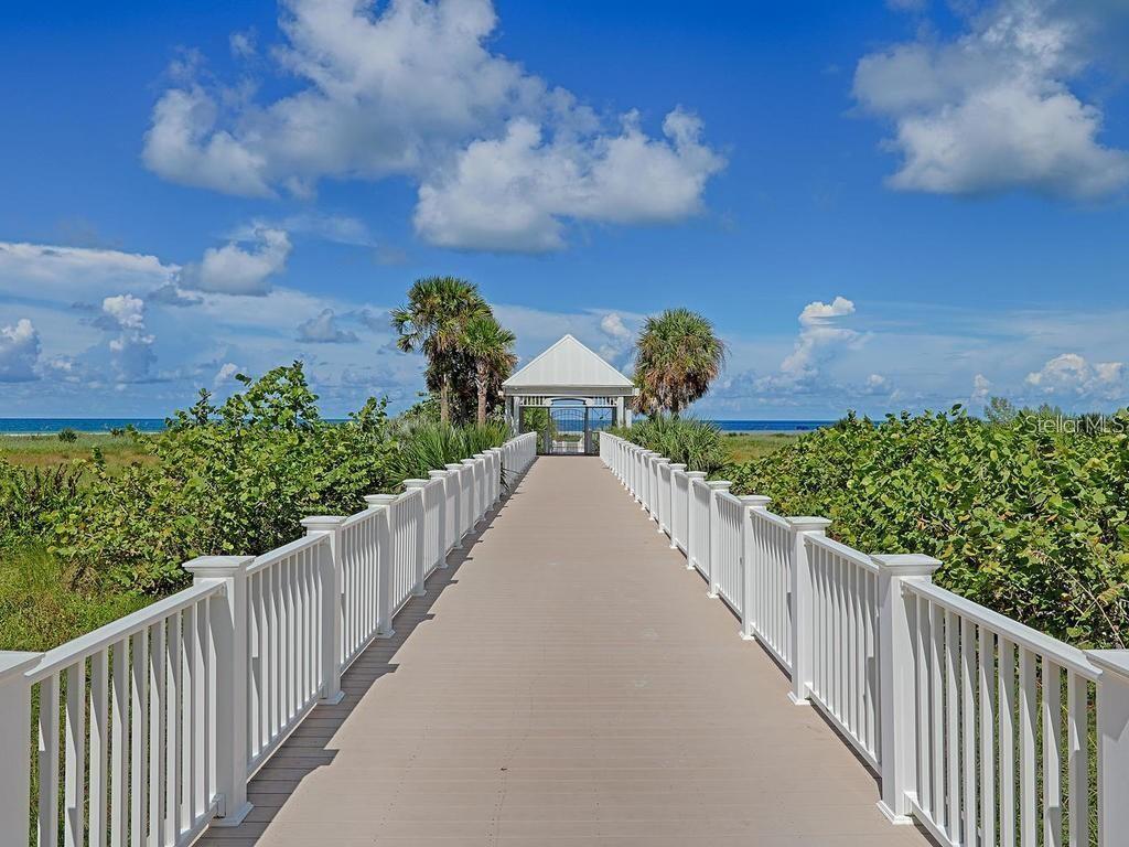 Take a stroll on the white-sand beach and pick up a shell or two!  You may even find a pre-historic shark tooth!