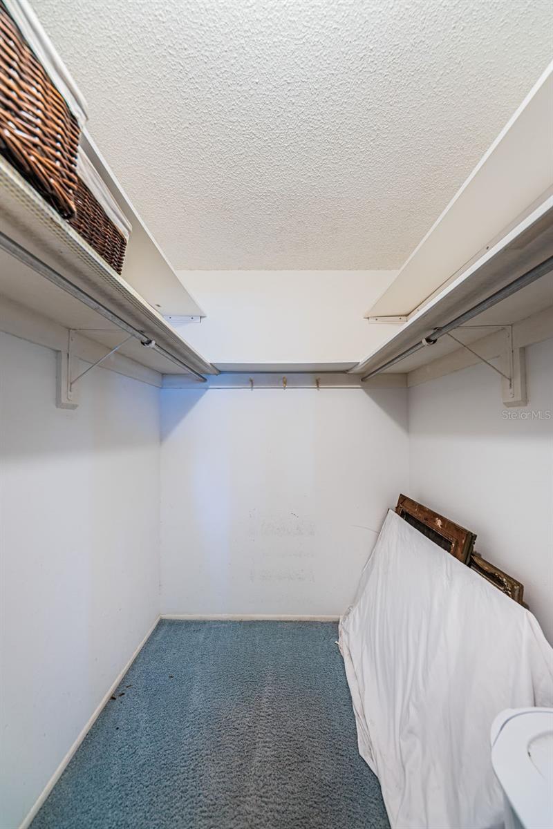Walk - in closet