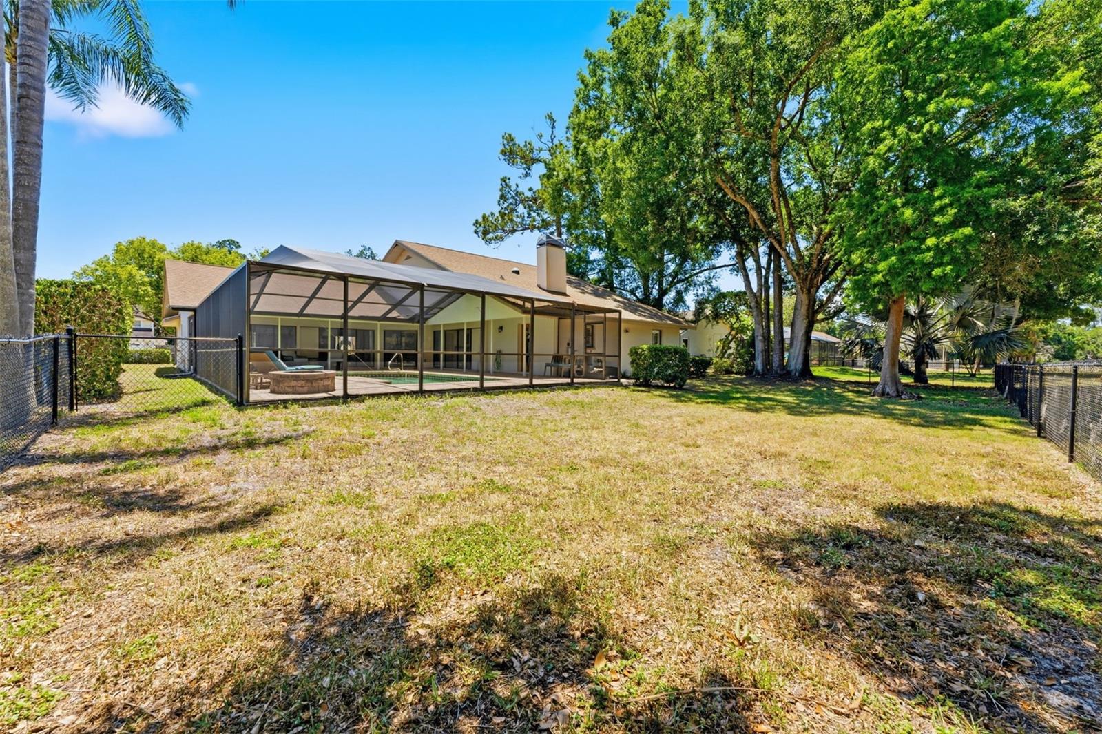 Backyard Lawn Area